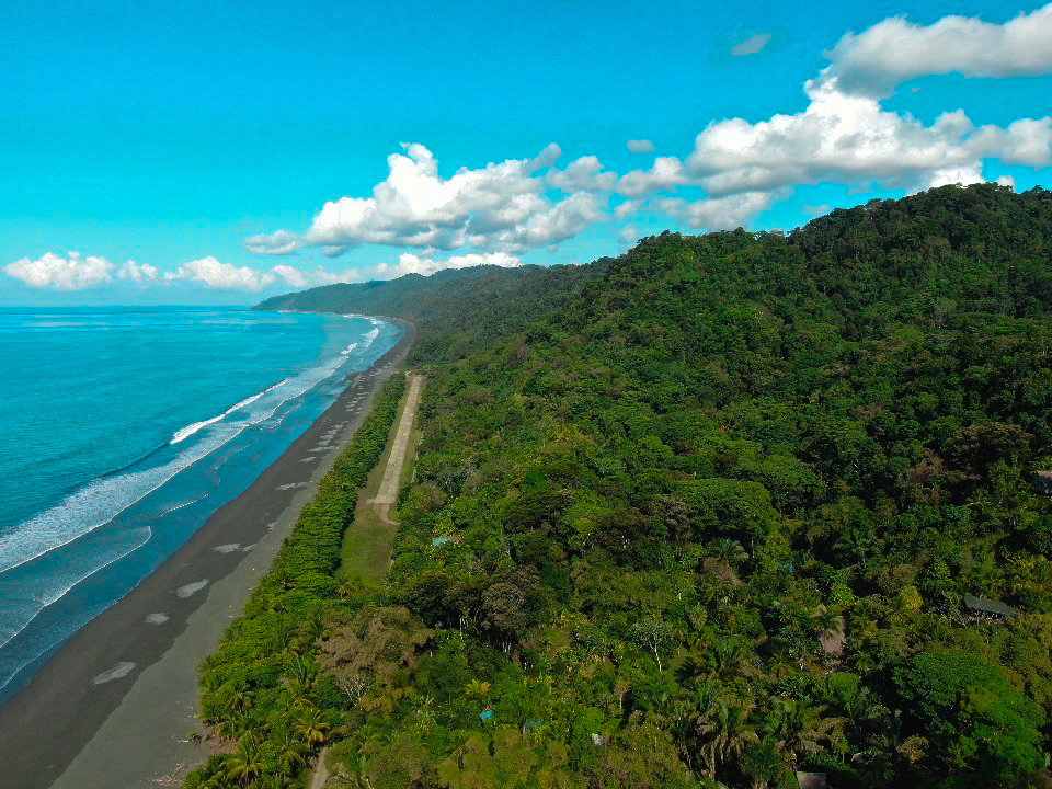 Osa Peninsula, Carate, Cabo Matapalo, Puntarenas, CR, ,Land,For Sale,Osa Peninsula, Carate,1585857