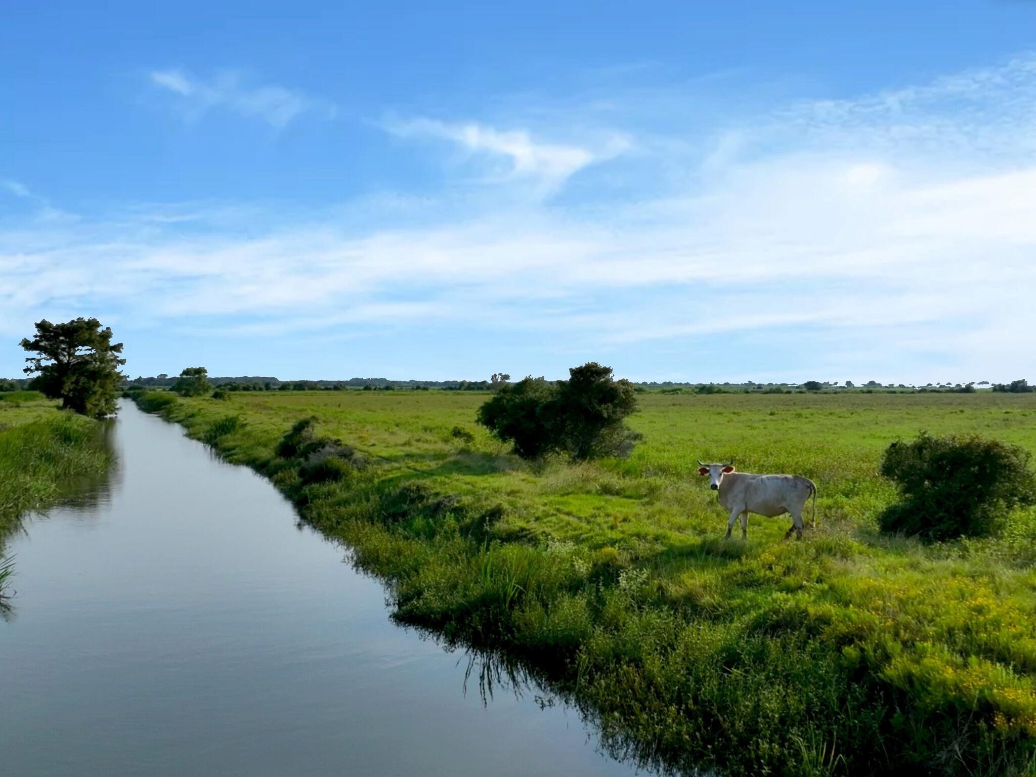 Anahuac, Texas, 77514, United States, ,Land,For Sale,1947447