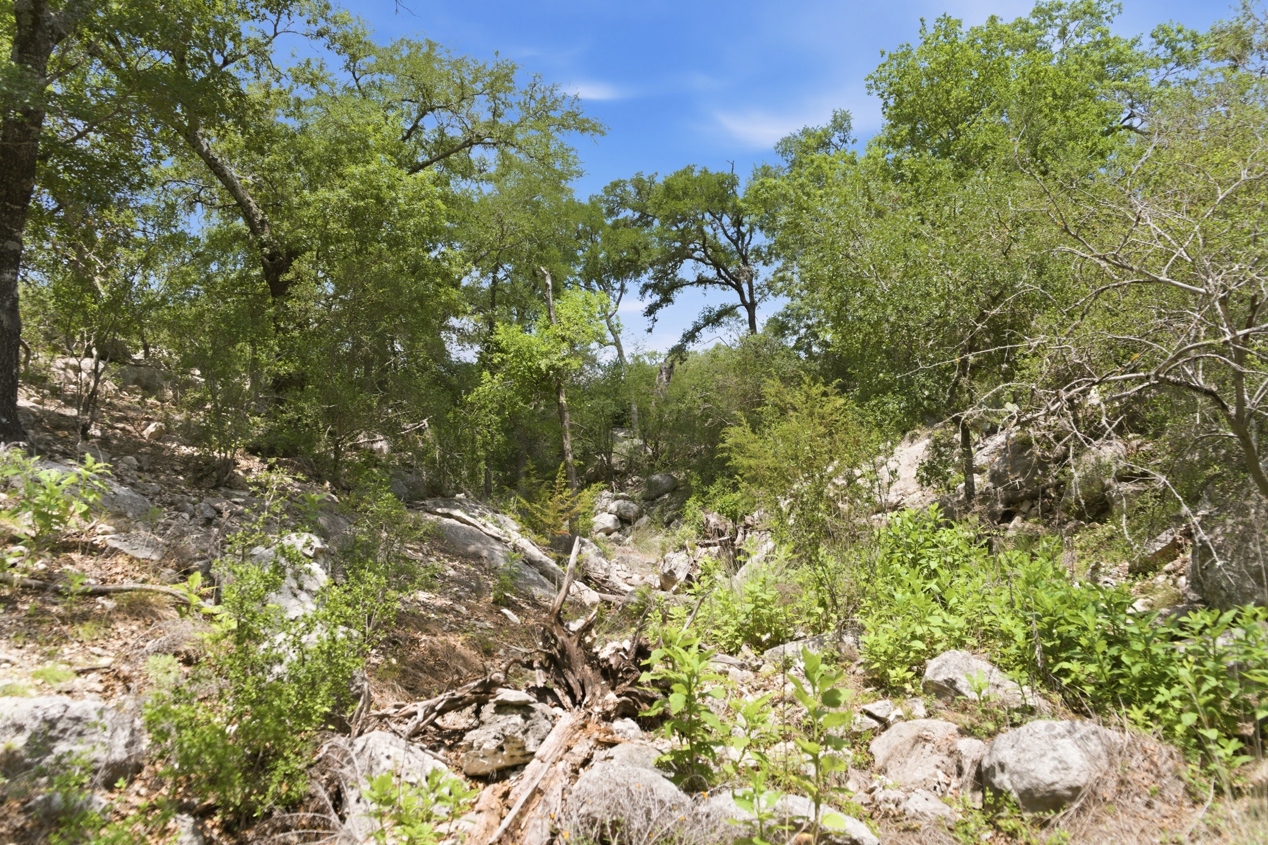  Rolling Oaks Ranch: The Pinnacle of Private Estate Living - 物件實景