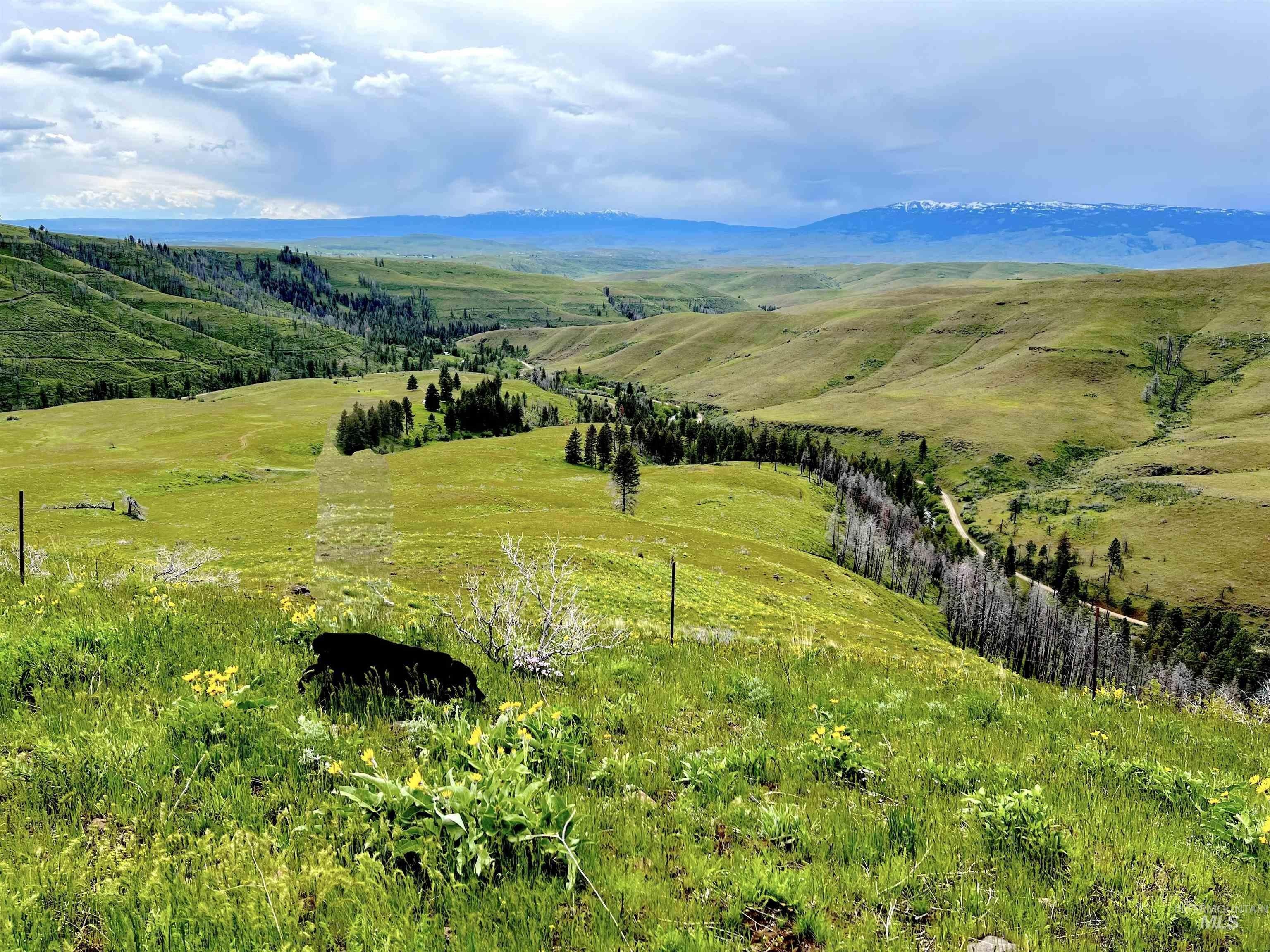 Council, Idaho, 83612, United States, ,Residential,For Sale,1921921