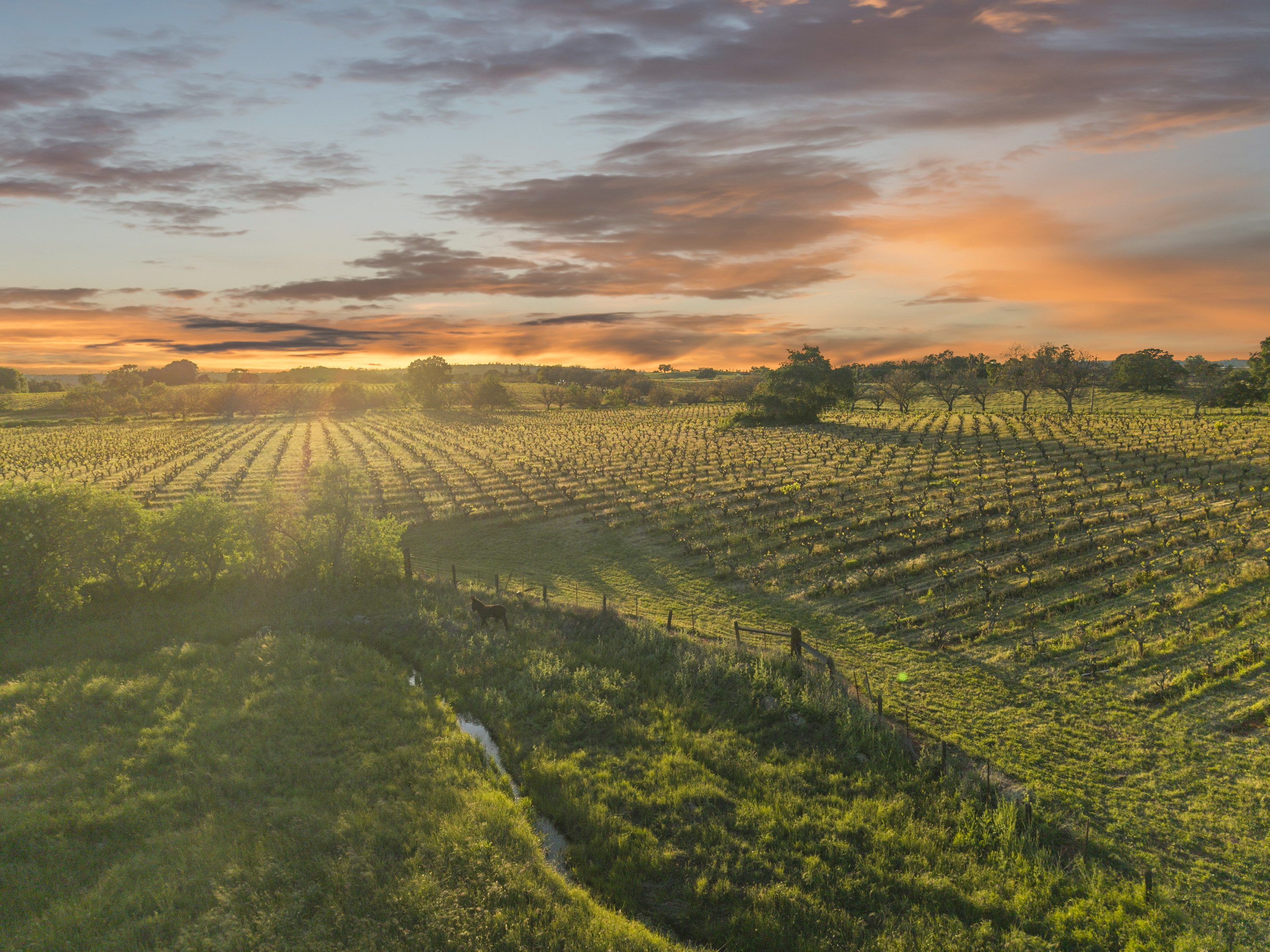  107 Acres - Seasonal Creek - Legacy - 物件實景