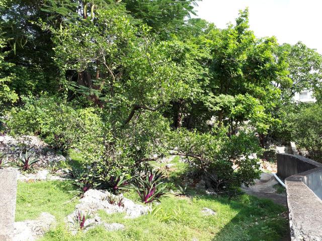 Kingston & St. Andrew, JM, 4 Bedrooms Bedrooms, ,5 BathroomsBathrooms,Residential,For Sale,1615791