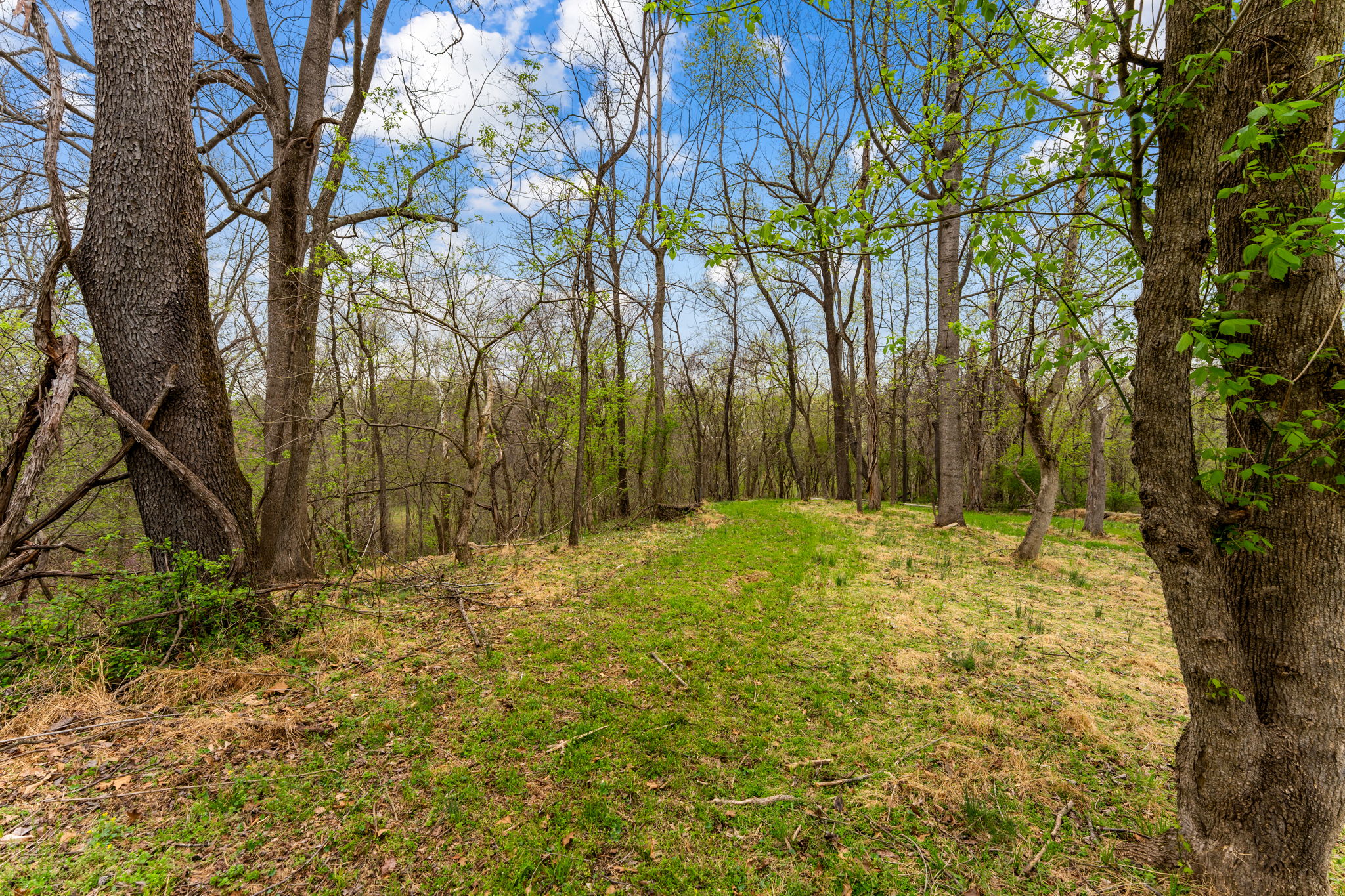  14039 Amys Meadow Court, Leesburg, VA, 20176 - 物件實景