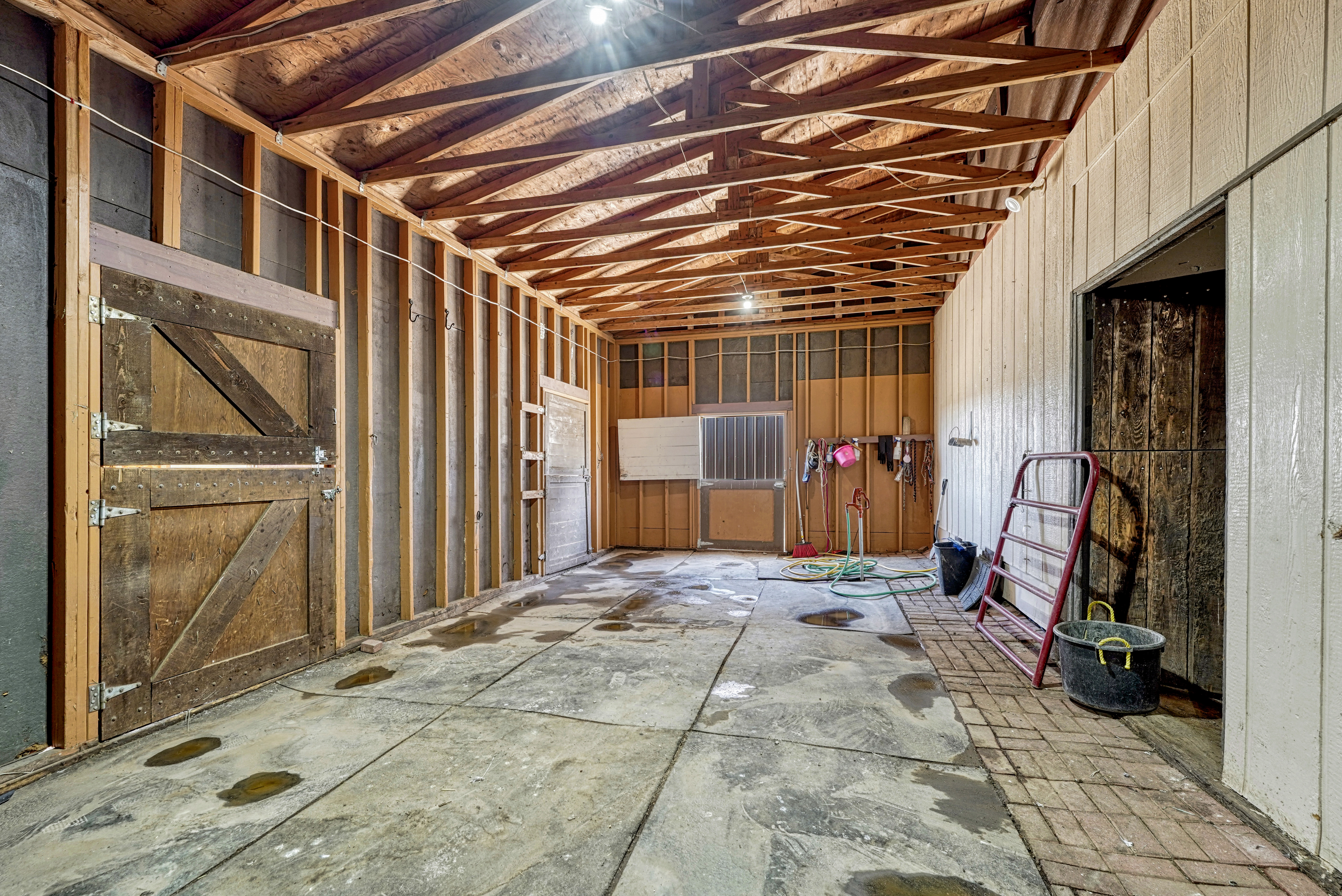  Amazing equestrian property in Black Forest on almost 6 acres - 物件實景