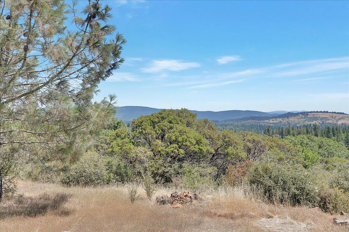 Oregon House, California, 95962, United States, ,Land,For Sale,1975767