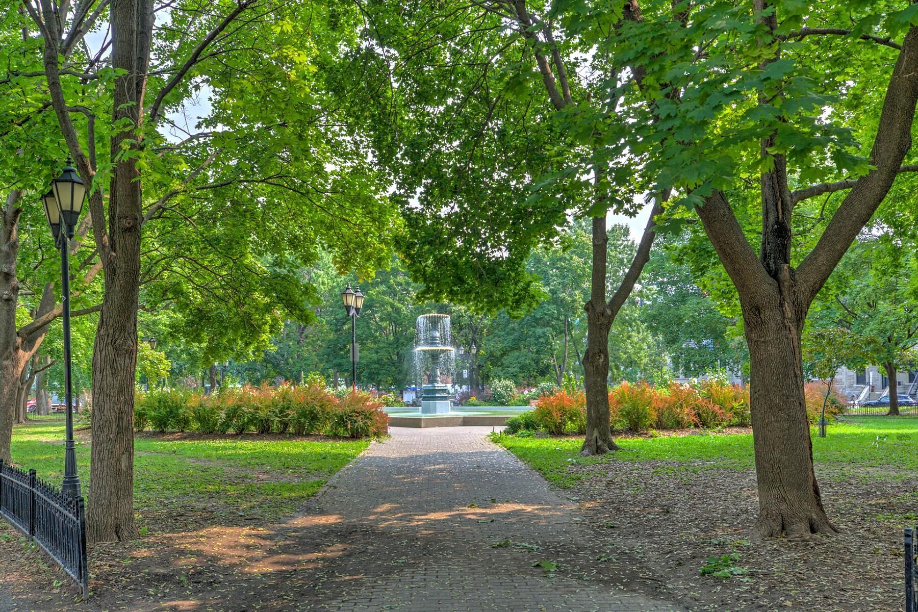  Le Plateau-Mont-Royal, Montréal - 物件實景