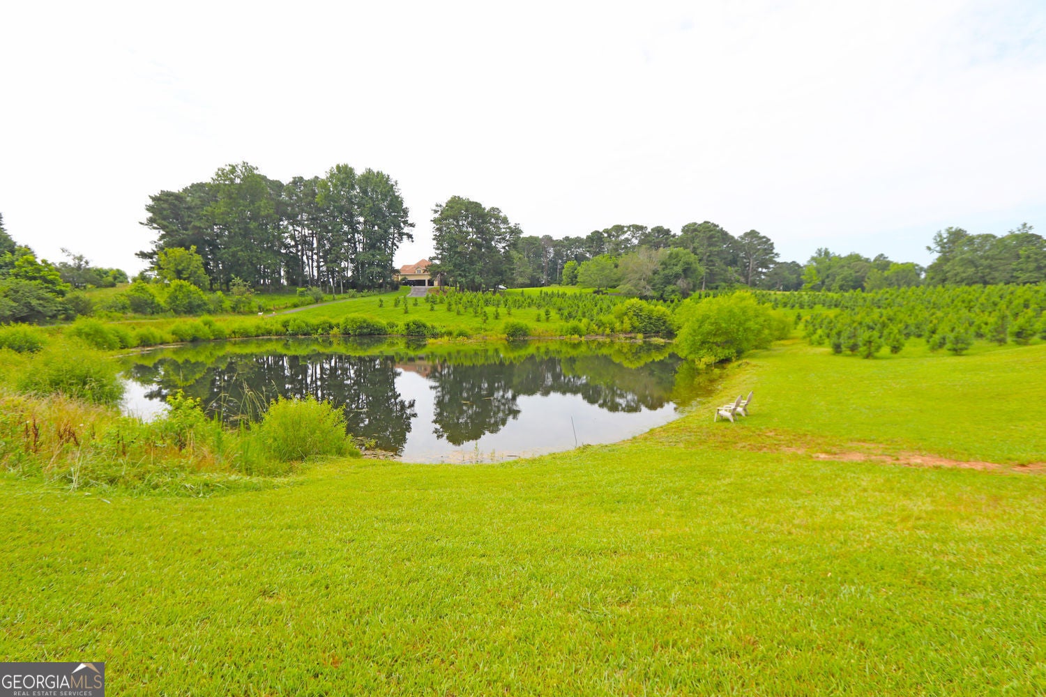Buchanan, Georgia, 30113, United States, 5 Bedrooms Bedrooms, ,4 BathroomsBathrooms,Residential,For Sale,1876886