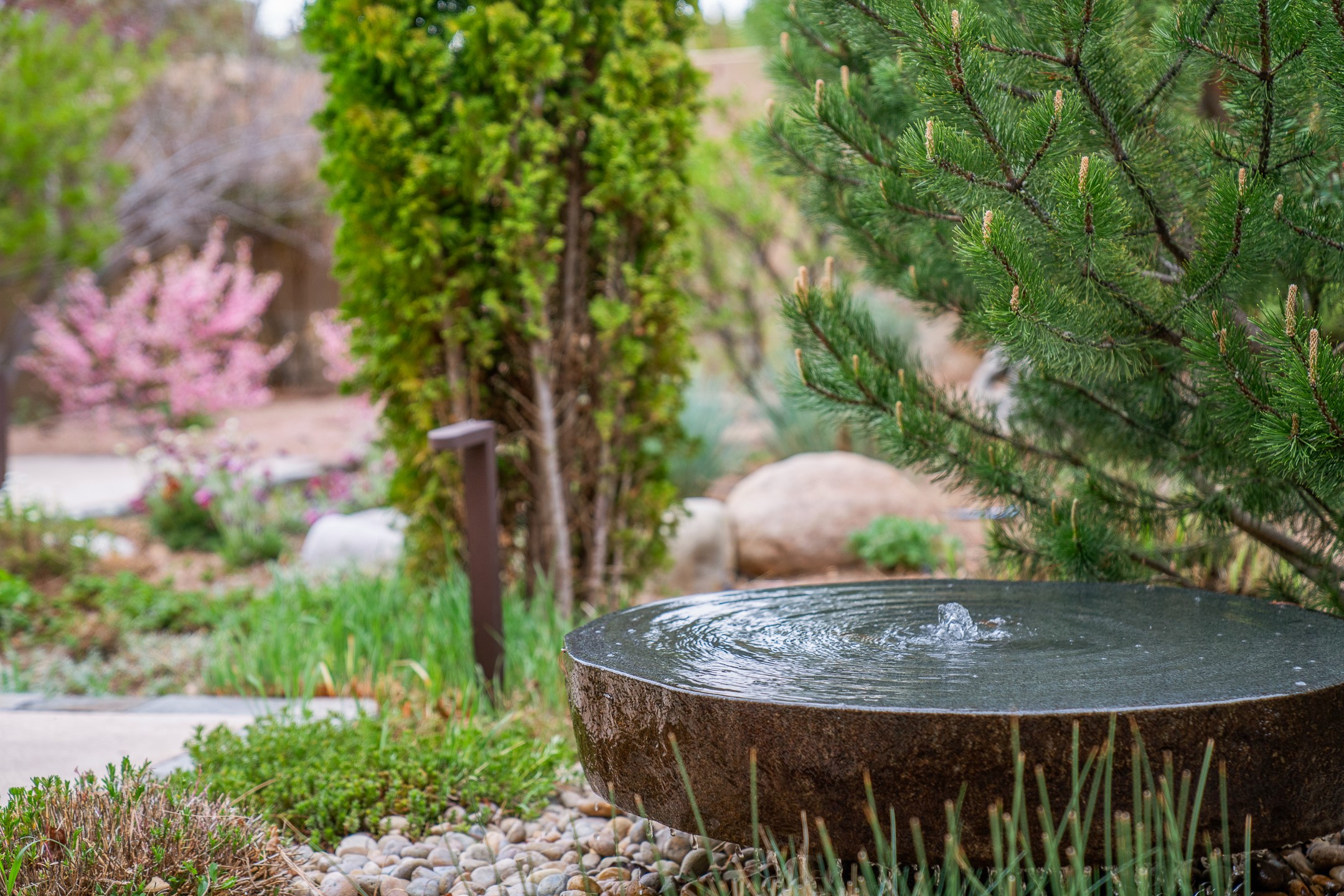  974 Old Santa Fe Trail - 物件實景