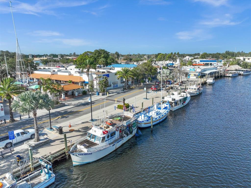 Tarpon Springs, Florida, 34689, United States, 3 Bedrooms Bedrooms, ,3 BathroomsBathrooms,Residential,For Sale,1684386