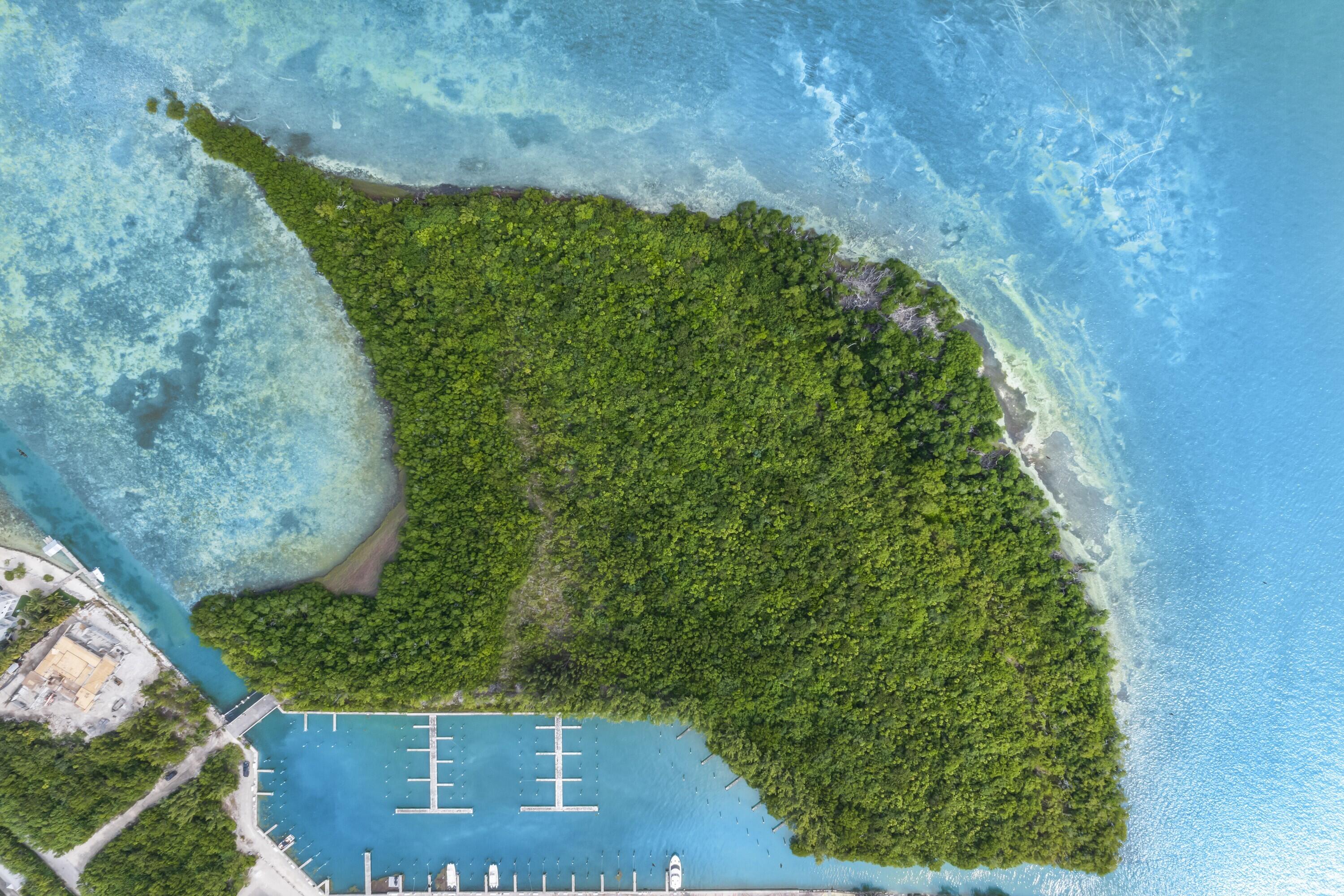MARATHON, Florida, 33050, United States, ,Land,For Sale,1688698