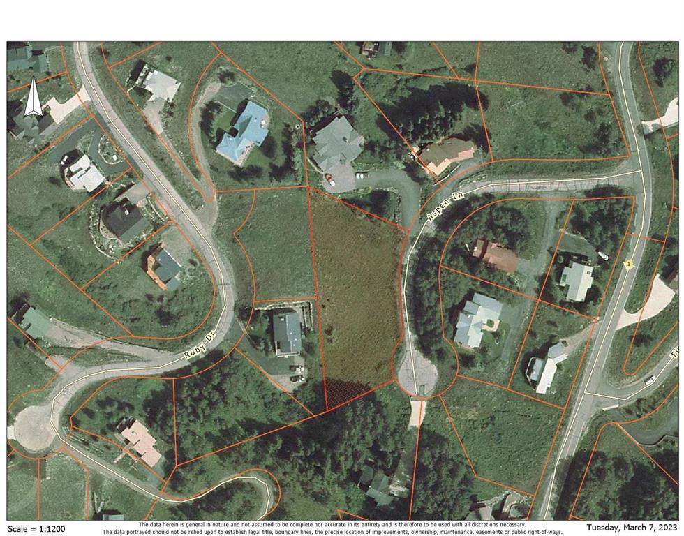Mt. Crested Butte, Colorado, 81225, United States, ,Land,For Sale,1731584