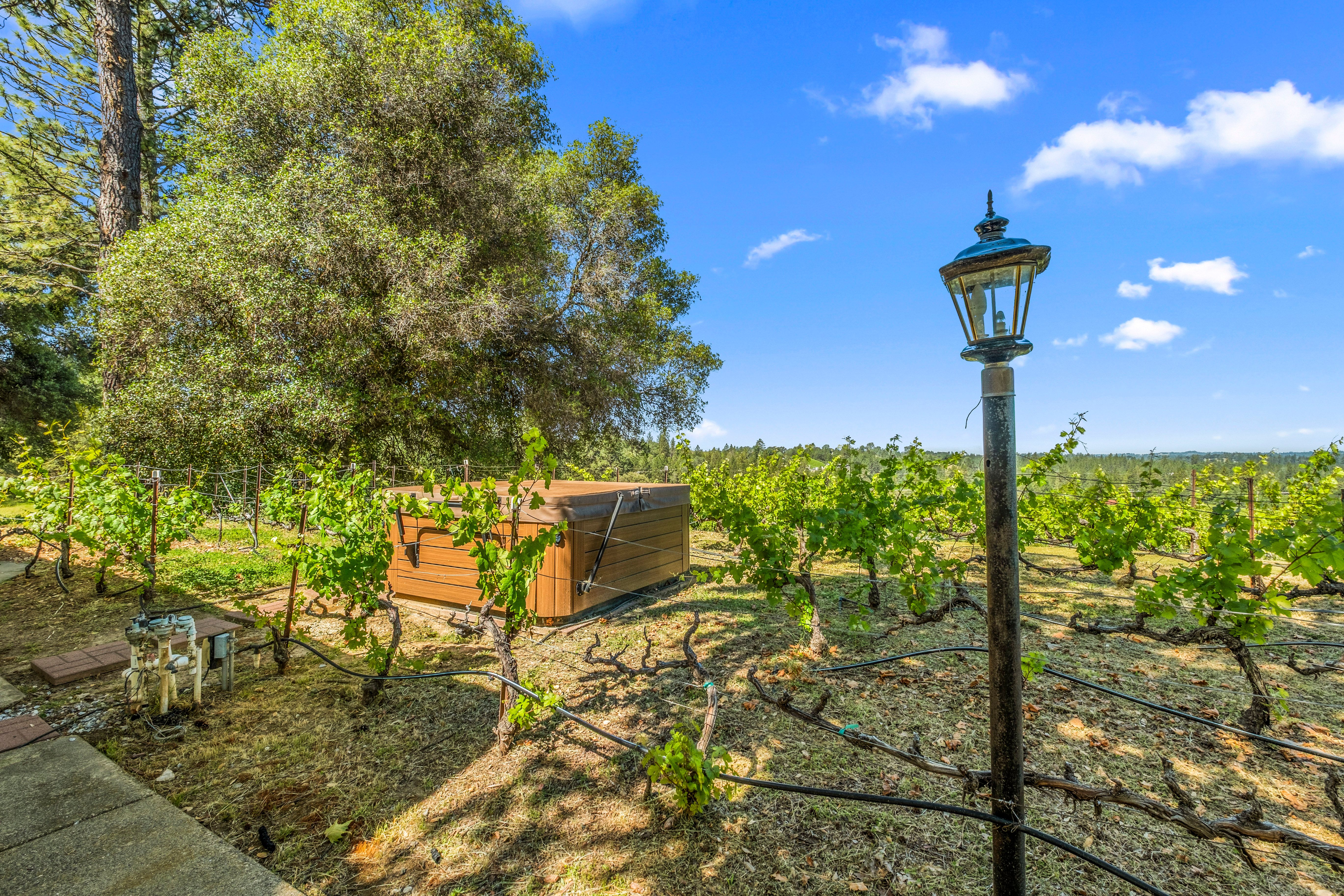  7460 Fairplay Road, Somerset, CA 95684 - 物件實景
