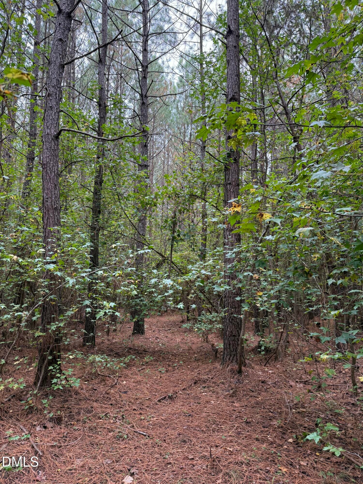 Oxford, North Carolina, 27565, United States, ,Land,For Sale,2000467