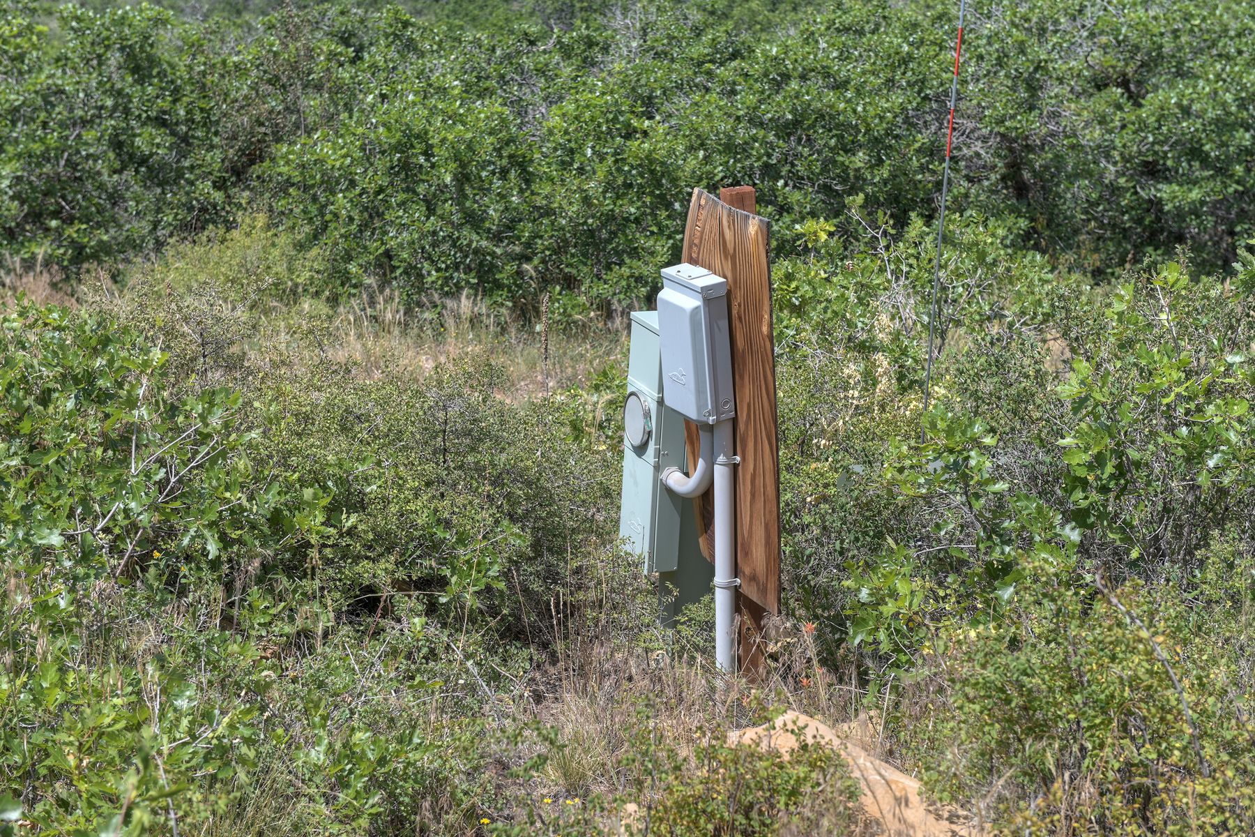 TBD Cross Creek Road, Hesperus, CO 81326 - 物件實景