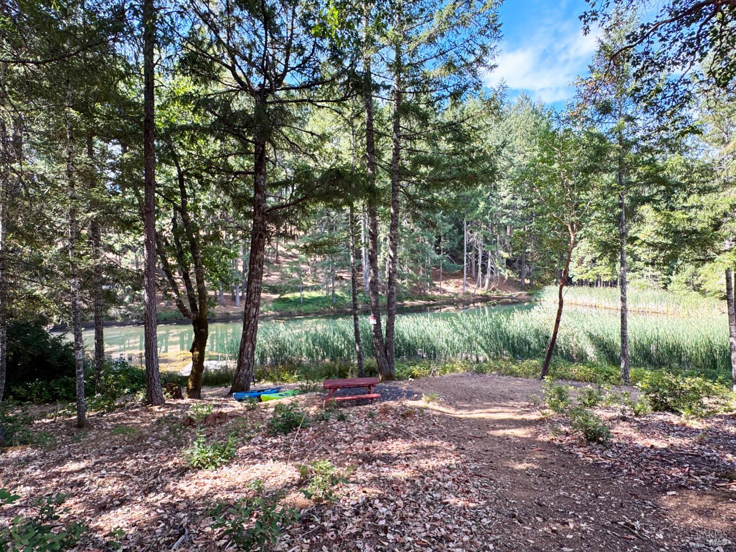 Willits, California, 95490, United States, 2 Bedrooms Bedrooms, ,2 BathroomsBathrooms,Residential,For Sale,1981529