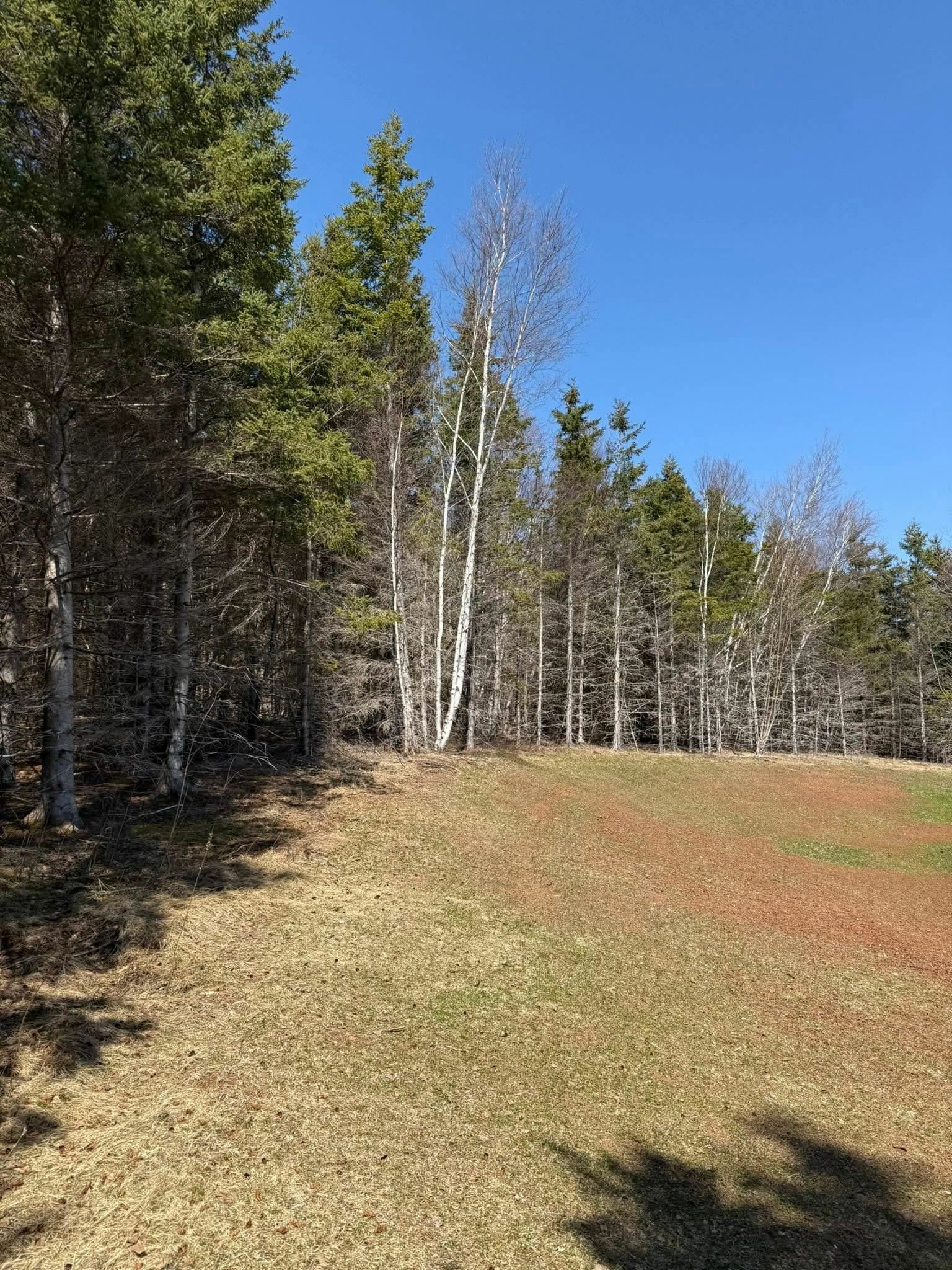 MAYFIELD, Prince Edward Island, C0A 1N0, CA, 3 Bedrooms Bedrooms, ,2 BathroomsBathrooms,Residential,For Sale,1876045