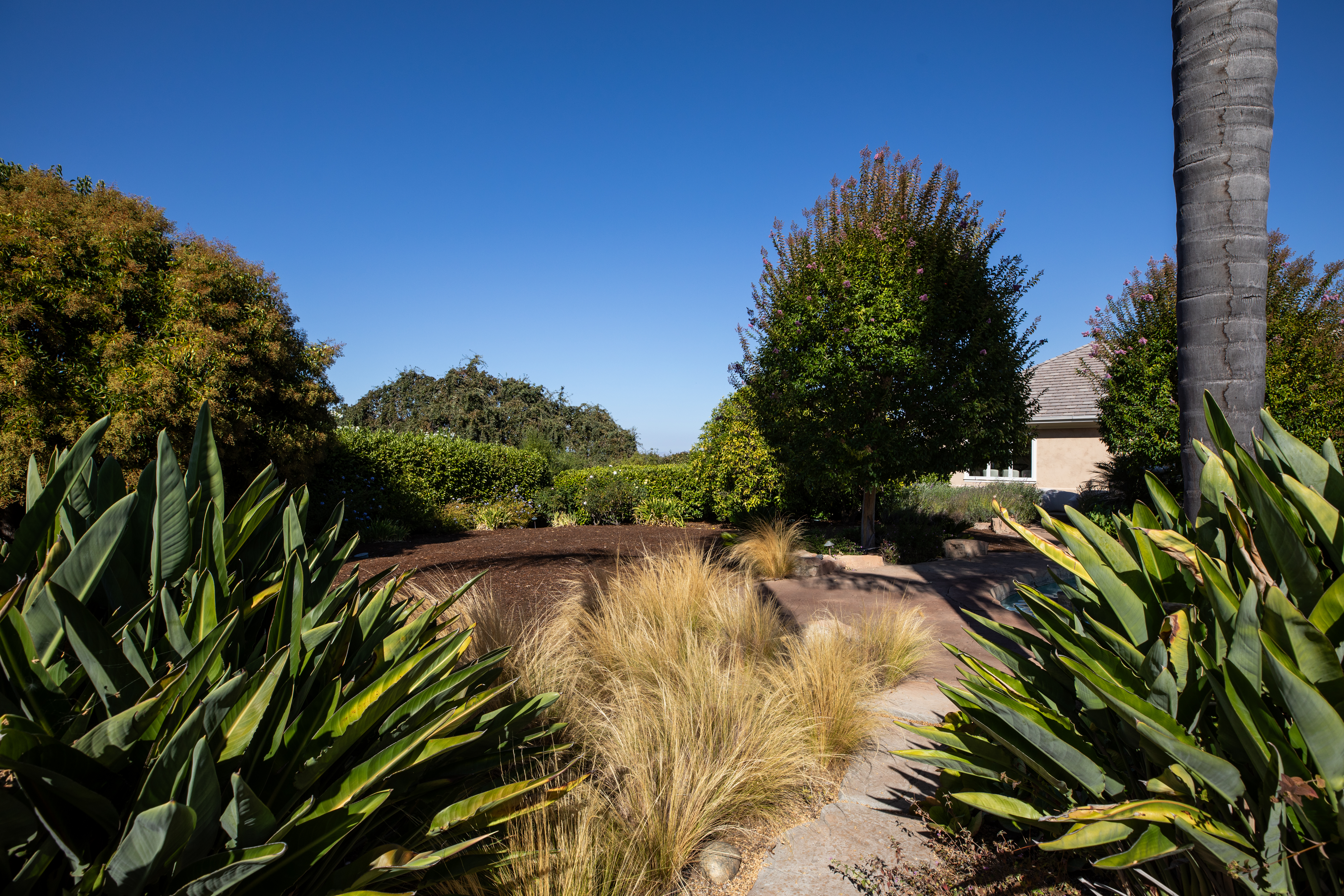  A Private Los Altos Hills Retreat, Designed for Living - 物件實景