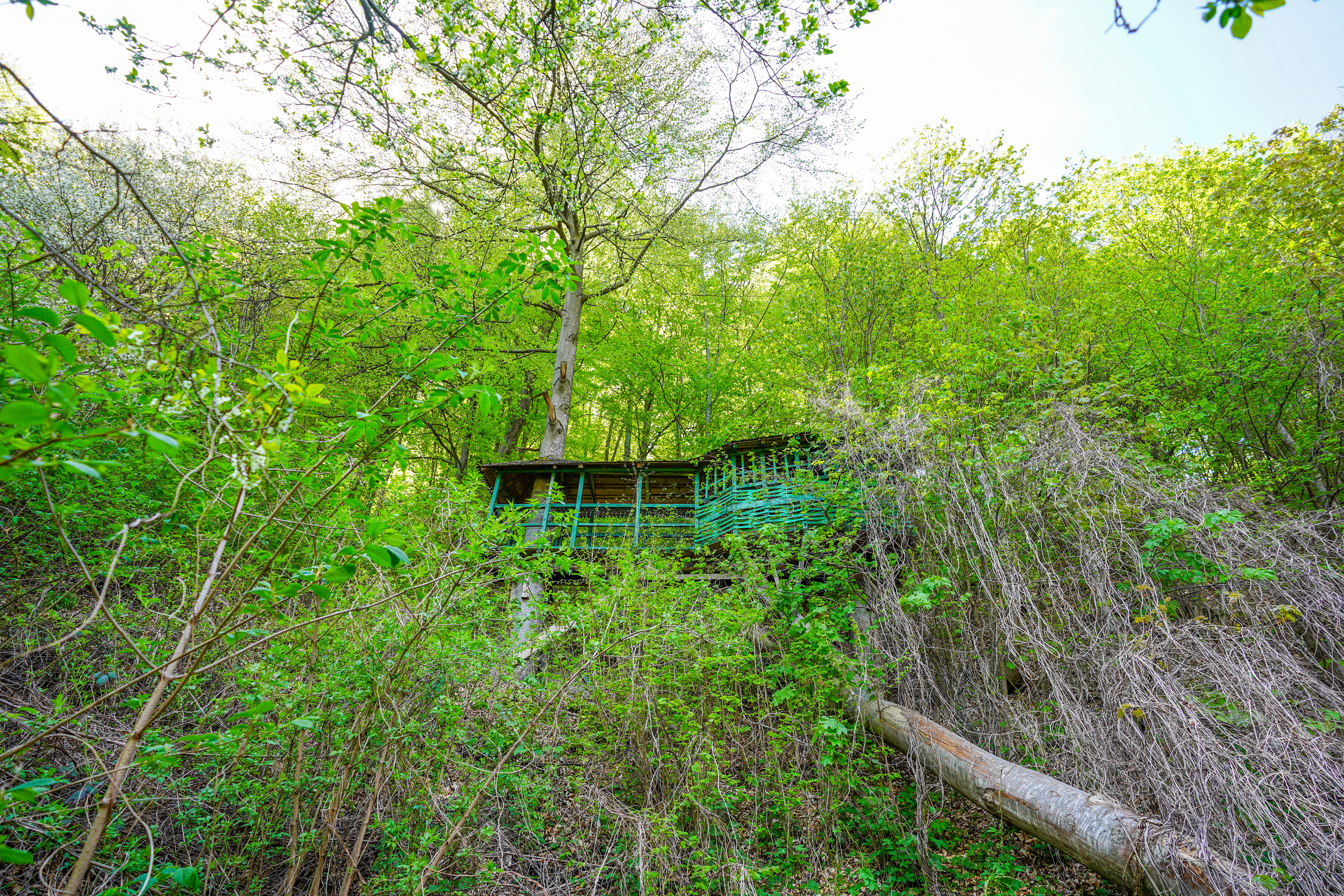  ?Casa Tisaru? - A Versatile Retreat in the Heart of Nature - 物件實景