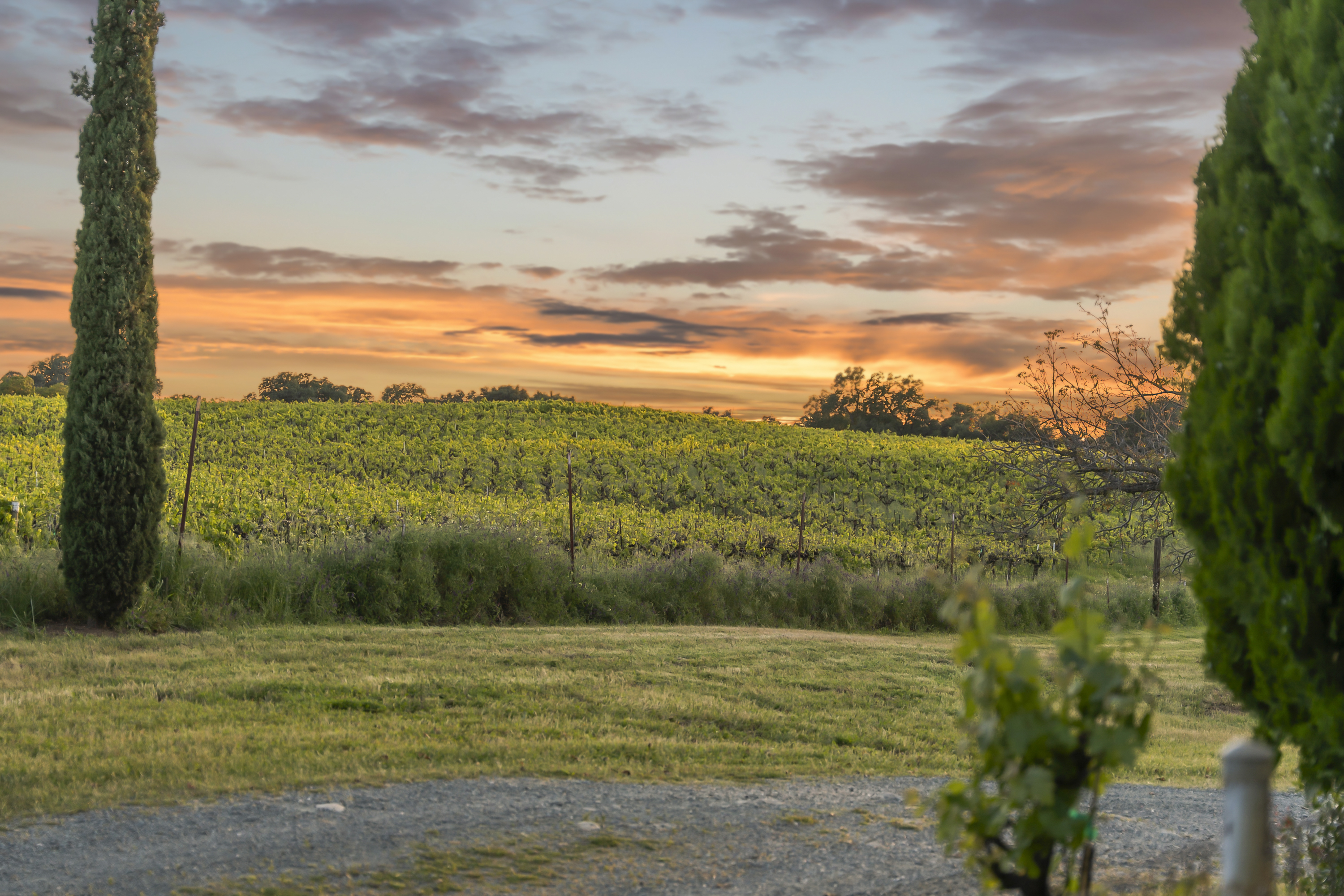  107 Acres - Seasonal Creek - Legacy - 物件實景