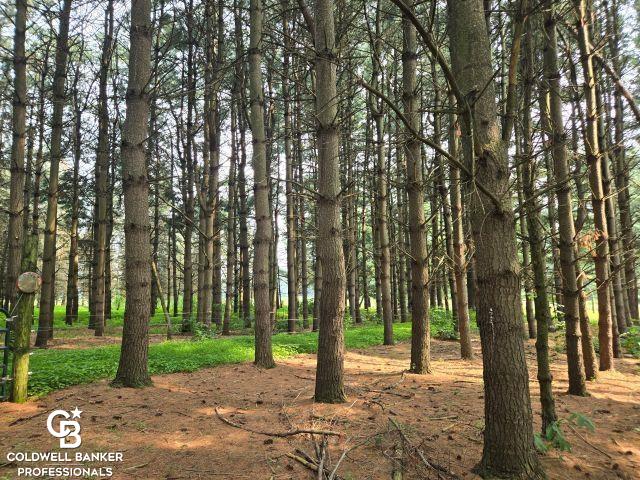 Emmett, Michigan, 48022, United States, 3 Bedrooms Bedrooms, ,1 BathroomBathrooms,Residential,For Sale,1927063