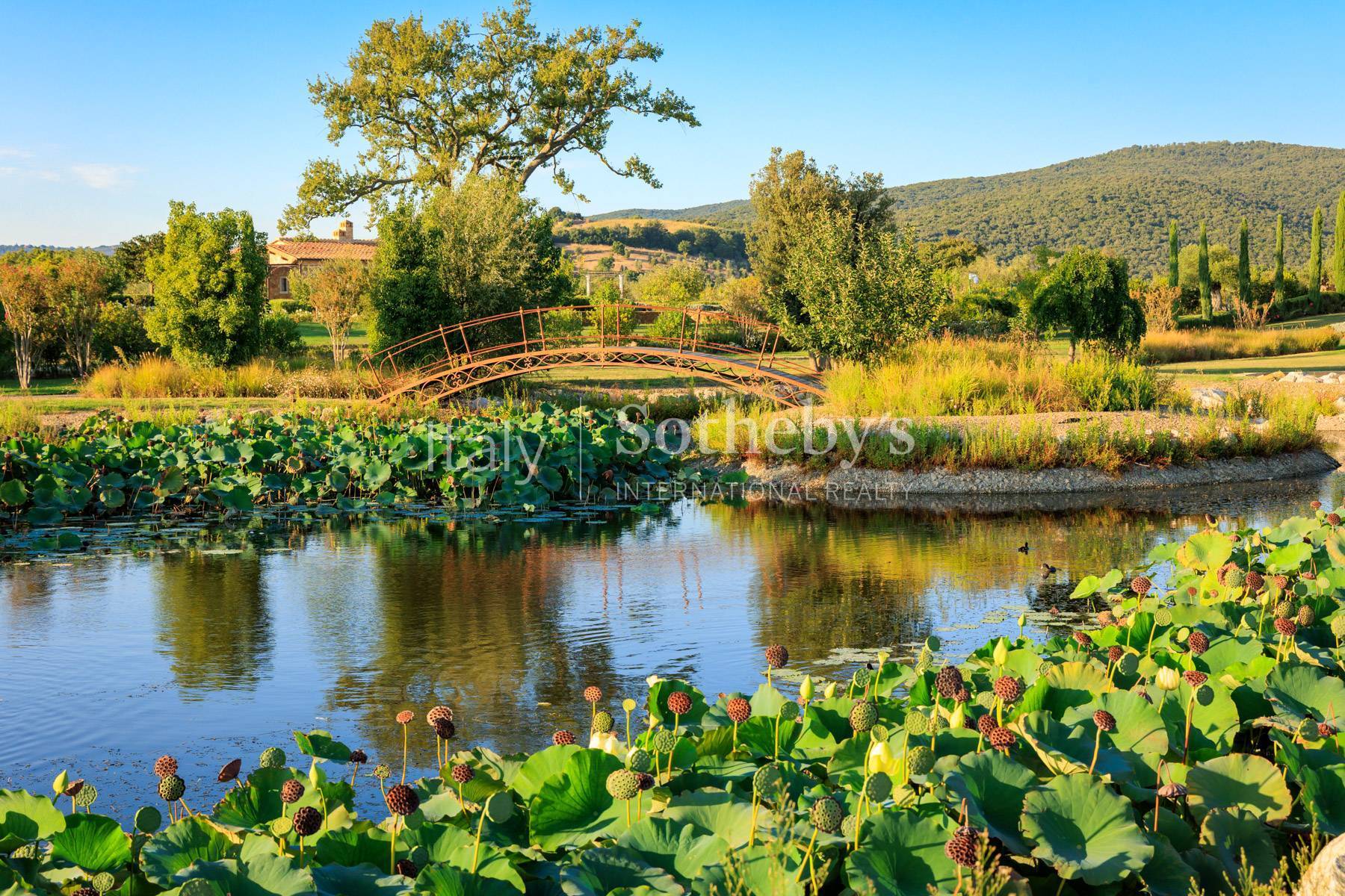  Incomparable Estate in the Tuscan countryside - 物件實景