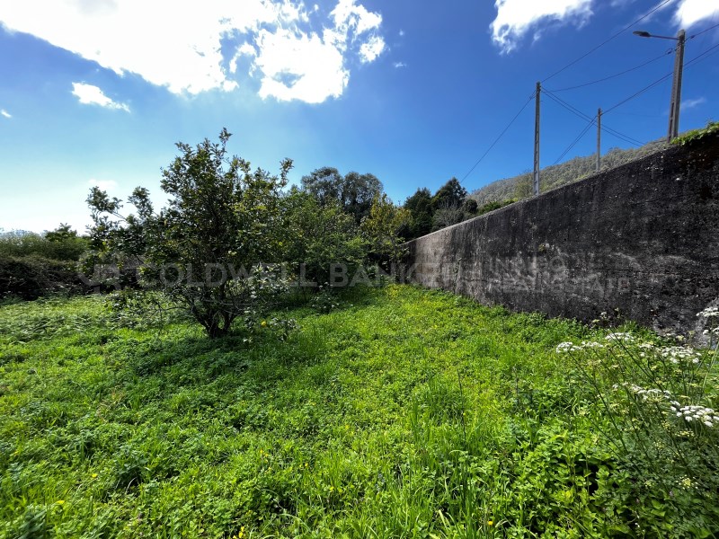 Pontevedra, Moa?a, Moa?a (San Marti?o P. E Virxe d, Moaña, Galicia, ES, 7 Bedrooms Bedrooms, ,2 BathroomsBathrooms,Residential,For Sale,Pontevedra, Moa?a, Moa?a (San Marti?o P. E Virxe d,1623275