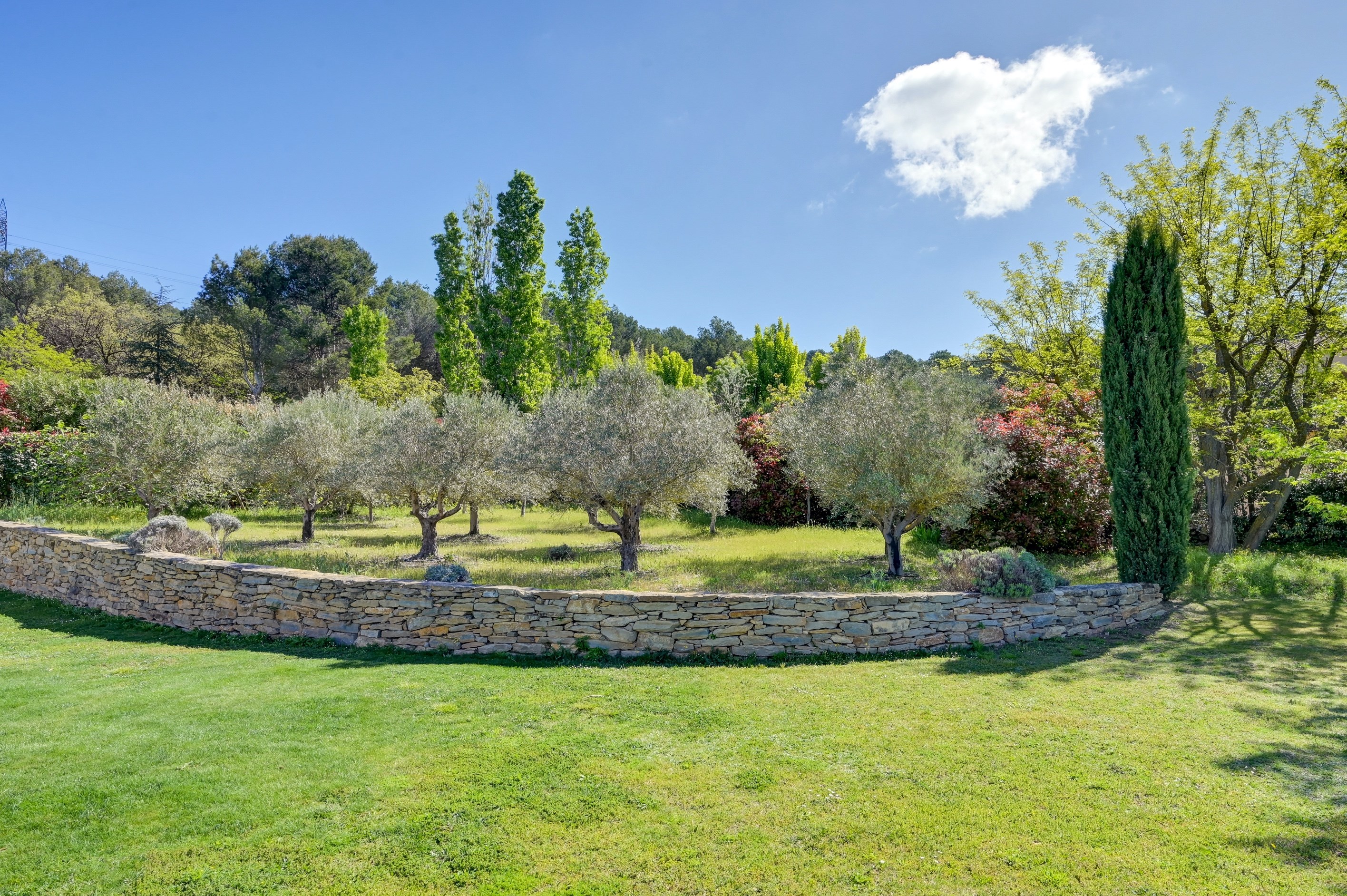  Villa - 物件實景