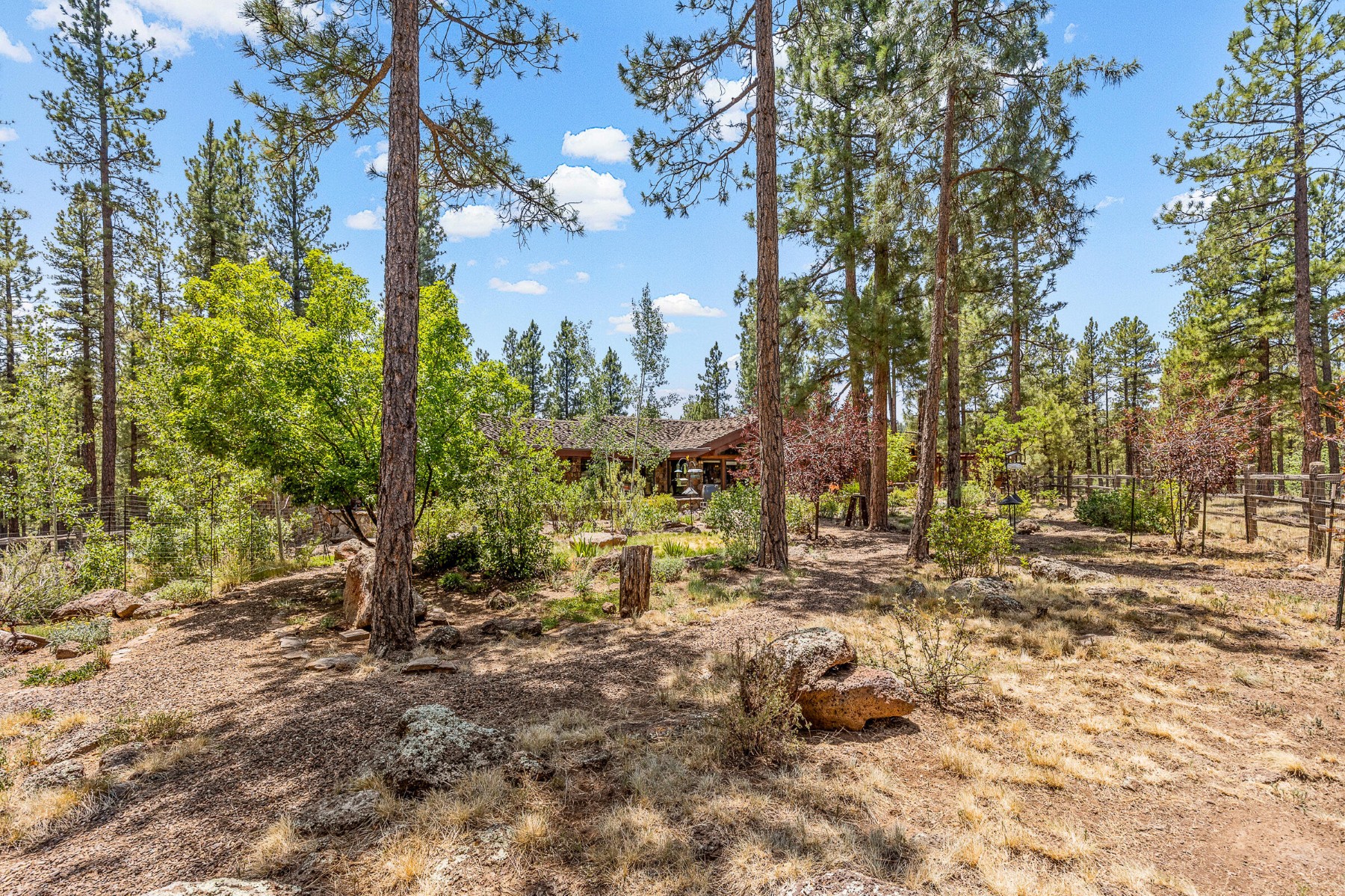  2901 Creekside Drive ¦ Flagstaff, AZ - 物件實景
