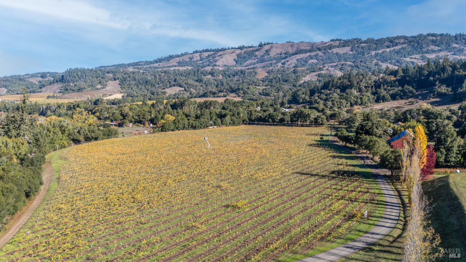 Philo, California, 95466, United States, 3 Bedrooms Bedrooms, ,3 BathroomsBathrooms,Residential,For Sale,1987364