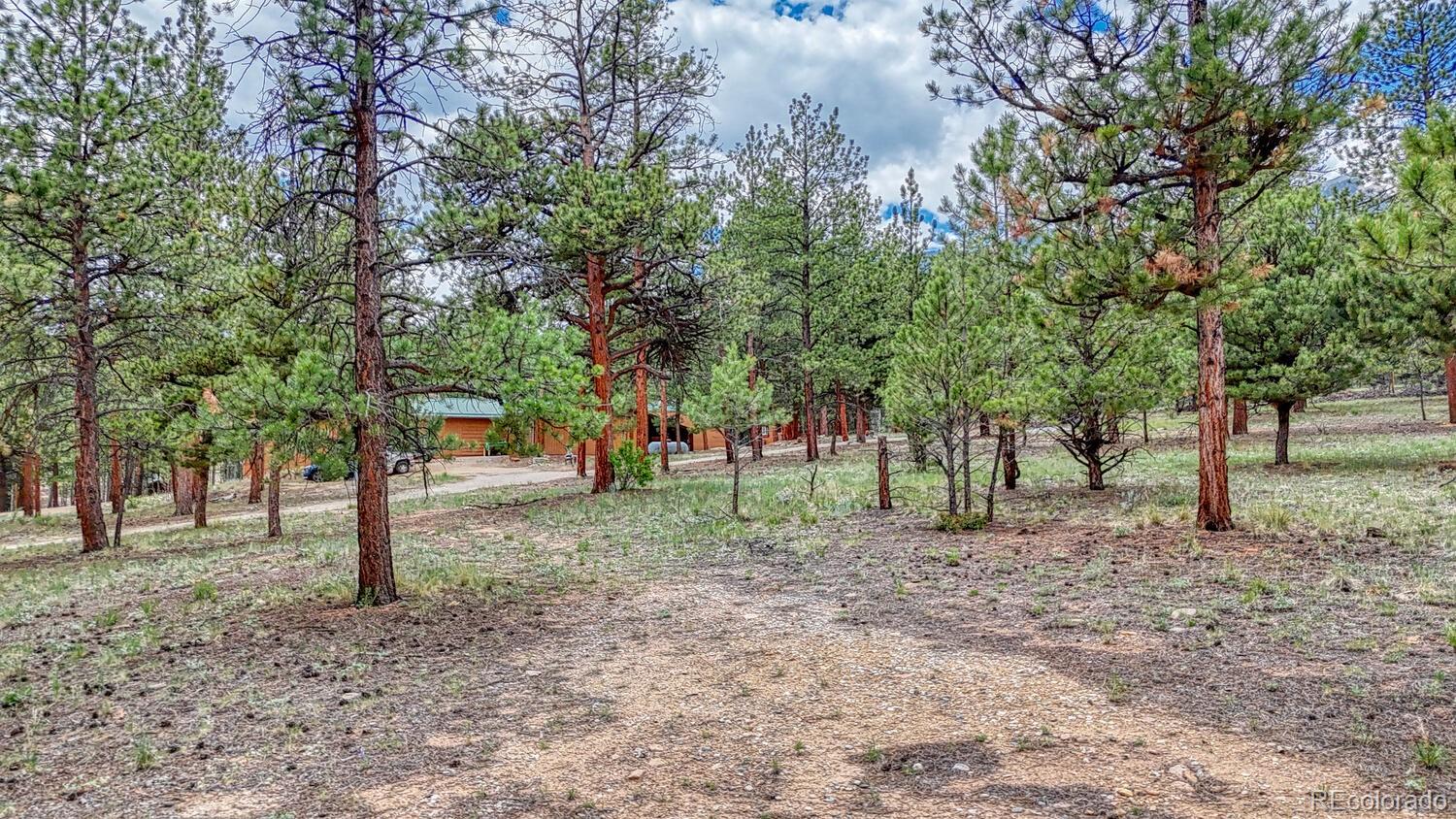 Buena Vista, Colorado, 81211, United States, 6 Bedrooms Bedrooms, ,5 BathroomsBathrooms,Residential,For Sale,1977574