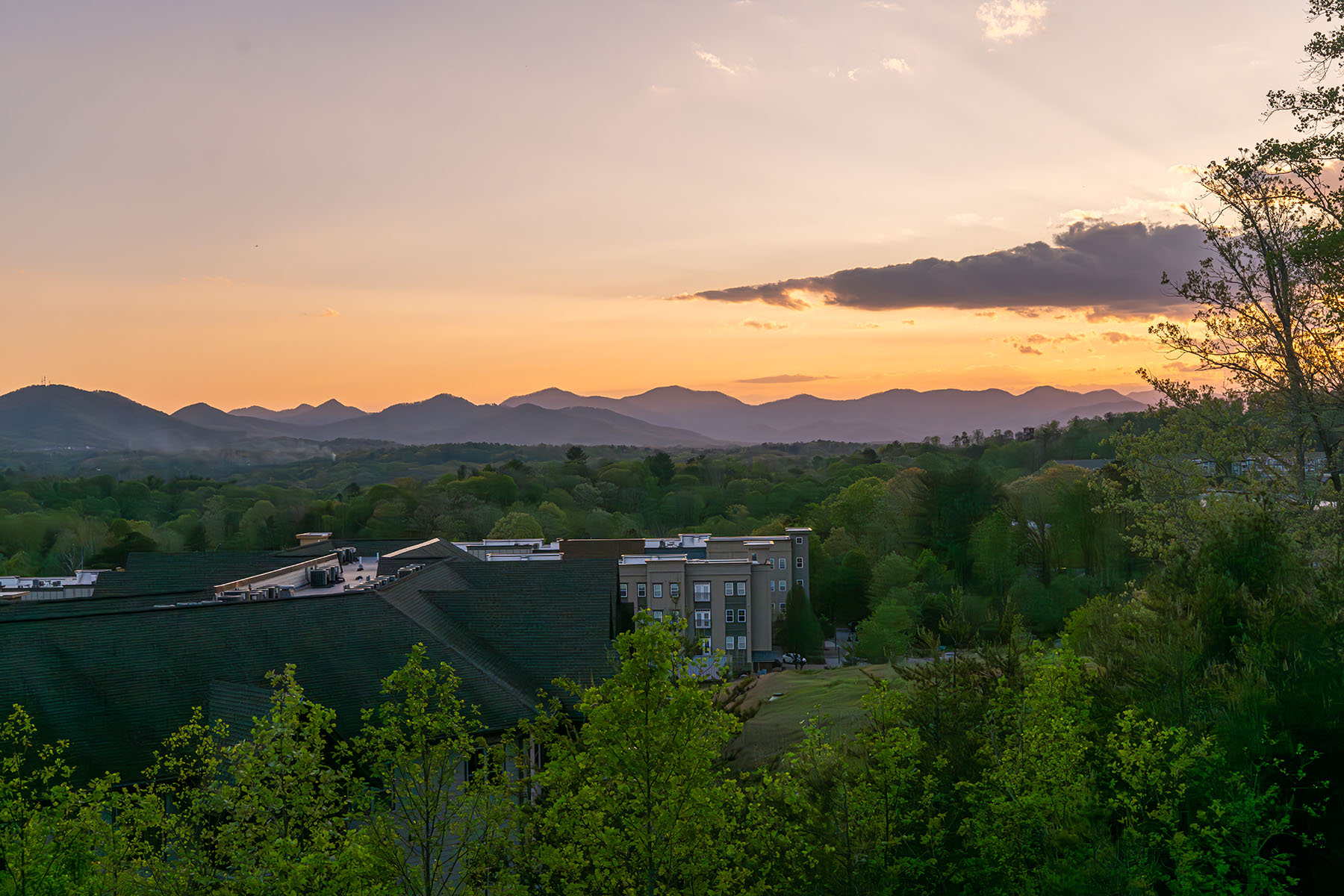  ASHEVILLE - 物件實景