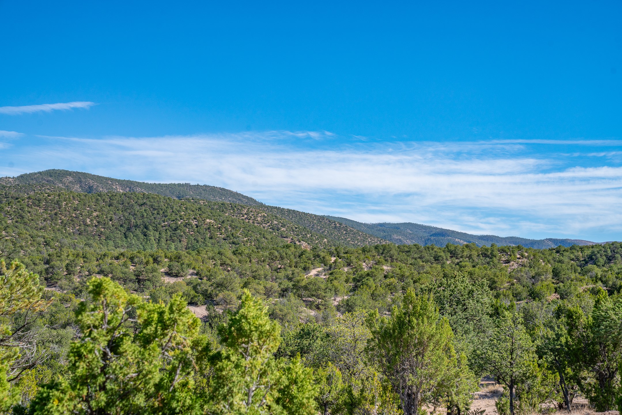  5.9 Acre Lot Camino Del Canon - 物件實景