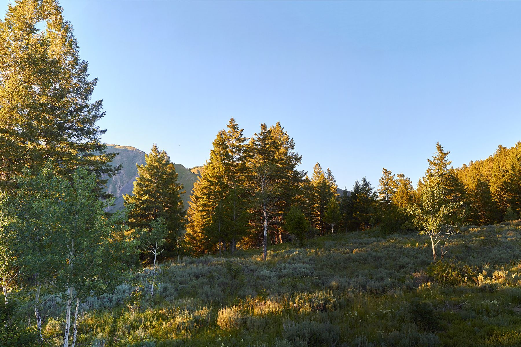  Snake River Sporting Club Lot - 物件實景