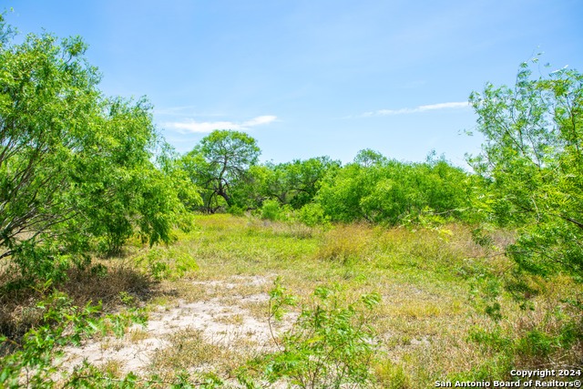 2618 N Armstrong Street, Kingsville, Texas, 78363, United States, 4 Bedrooms Bedrooms, ,5 BathroomsBathrooms,Residential,For Sale,2618 N Armstrong Street,1628223