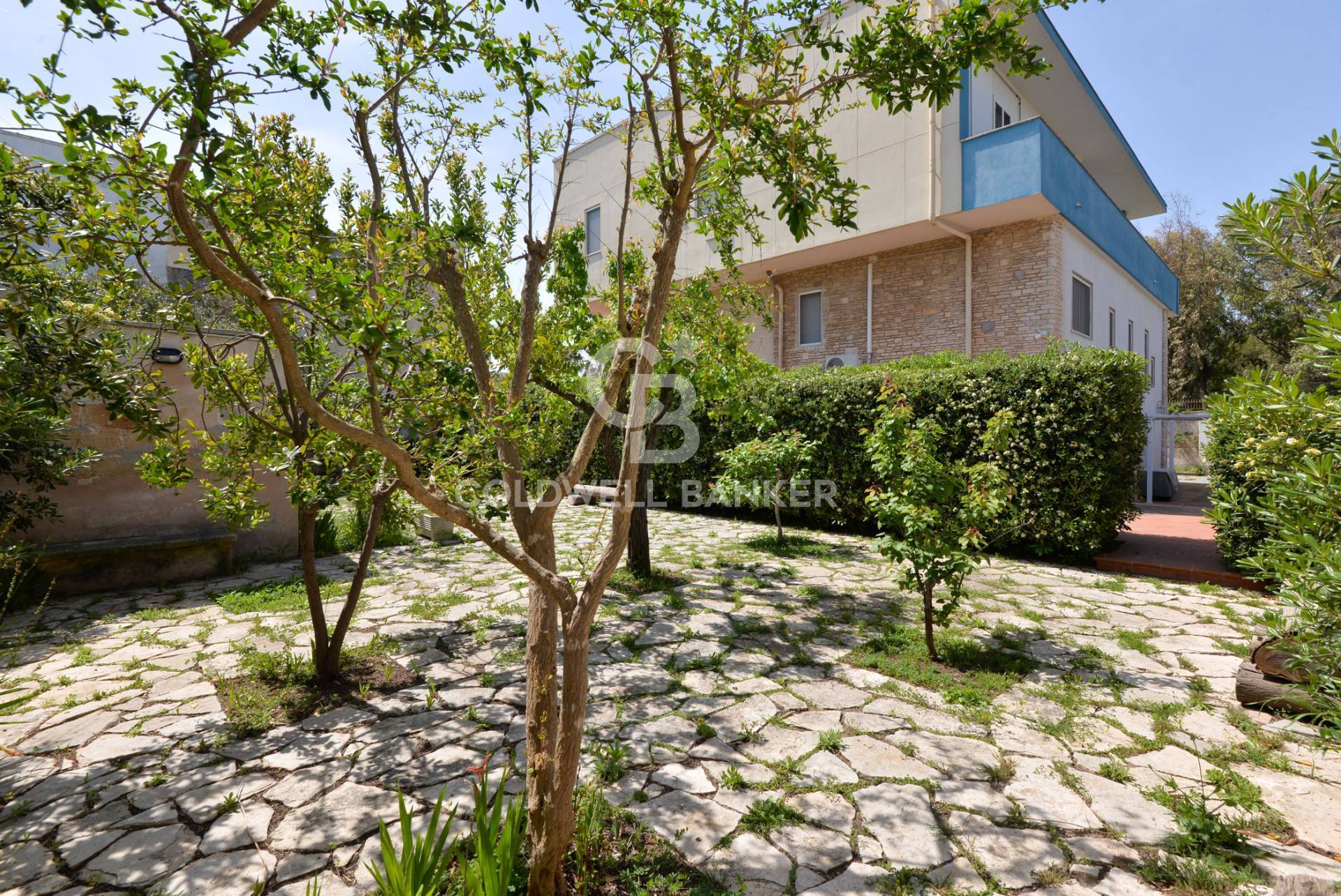 Lecce, Lecce, 73100, IT, 5 Bedrooms Bedrooms, ,3 BathroomsBathrooms,Residential,For Sale,1877519