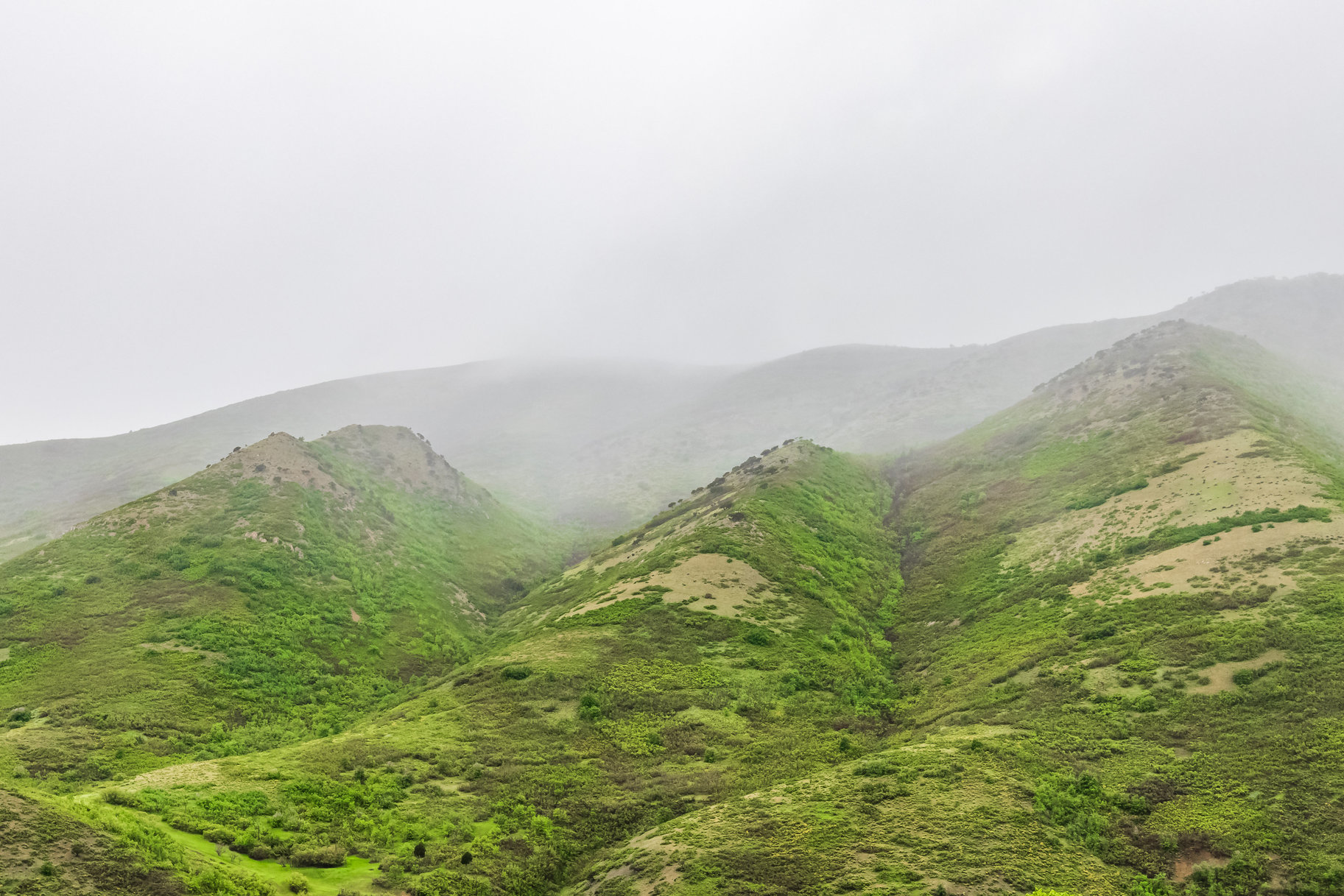  Fantastic Half-Acre Homesite in the Gated Emigration Place Neighborhood - 物件實景