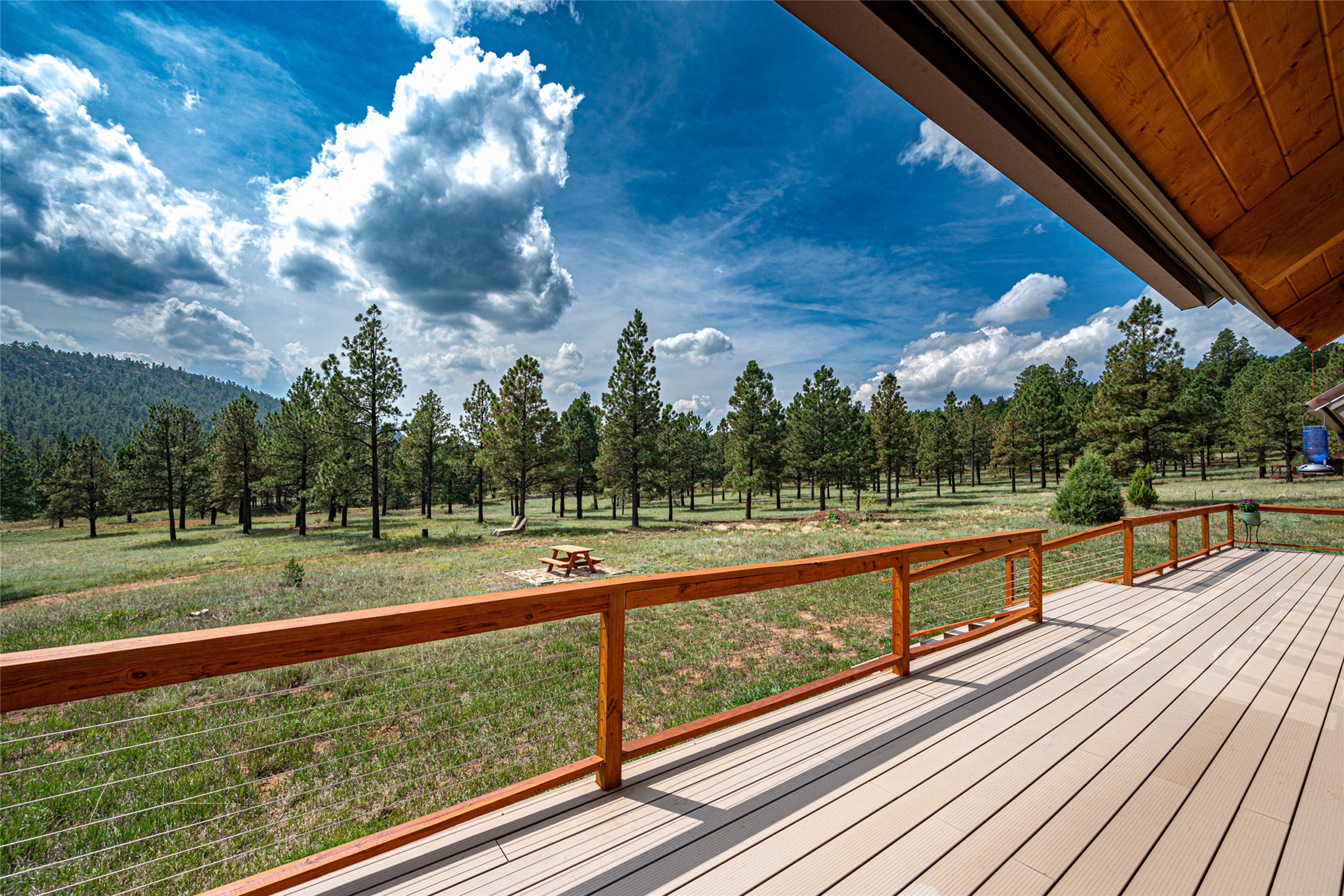  115 Blue Deer Ranch Road, B-109 - 物件實景