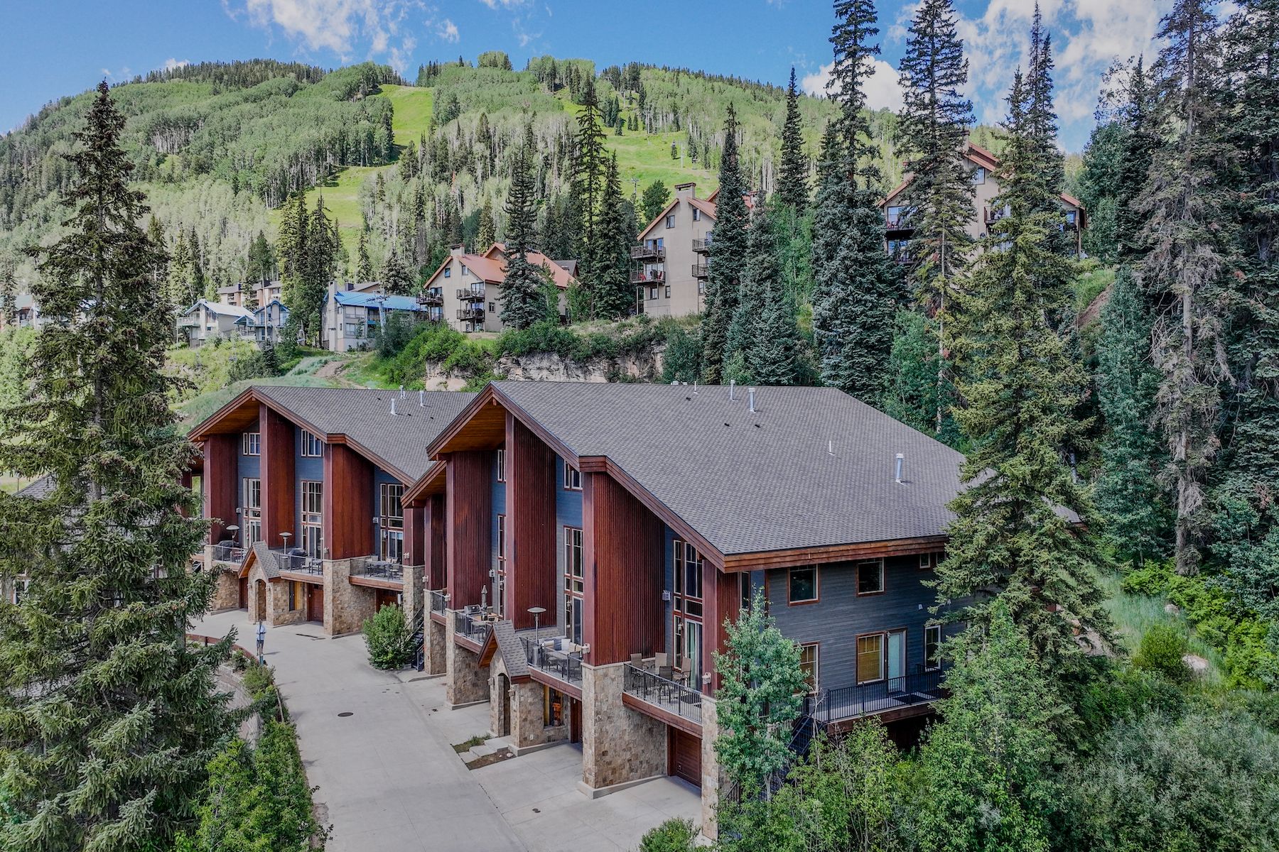  8 Summer Solstice Street, Durango, CO 81301 - 物件實景