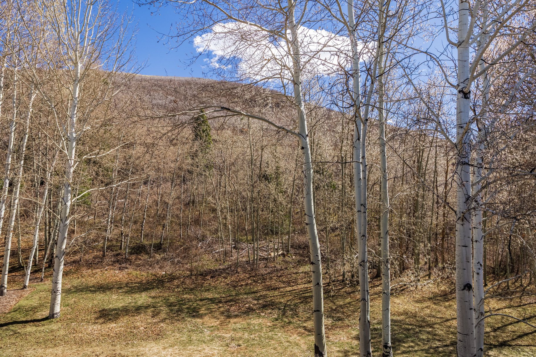  Refined and Fabulous 3-Bedroom Townhome in Lower Deer Valley - 物件實景