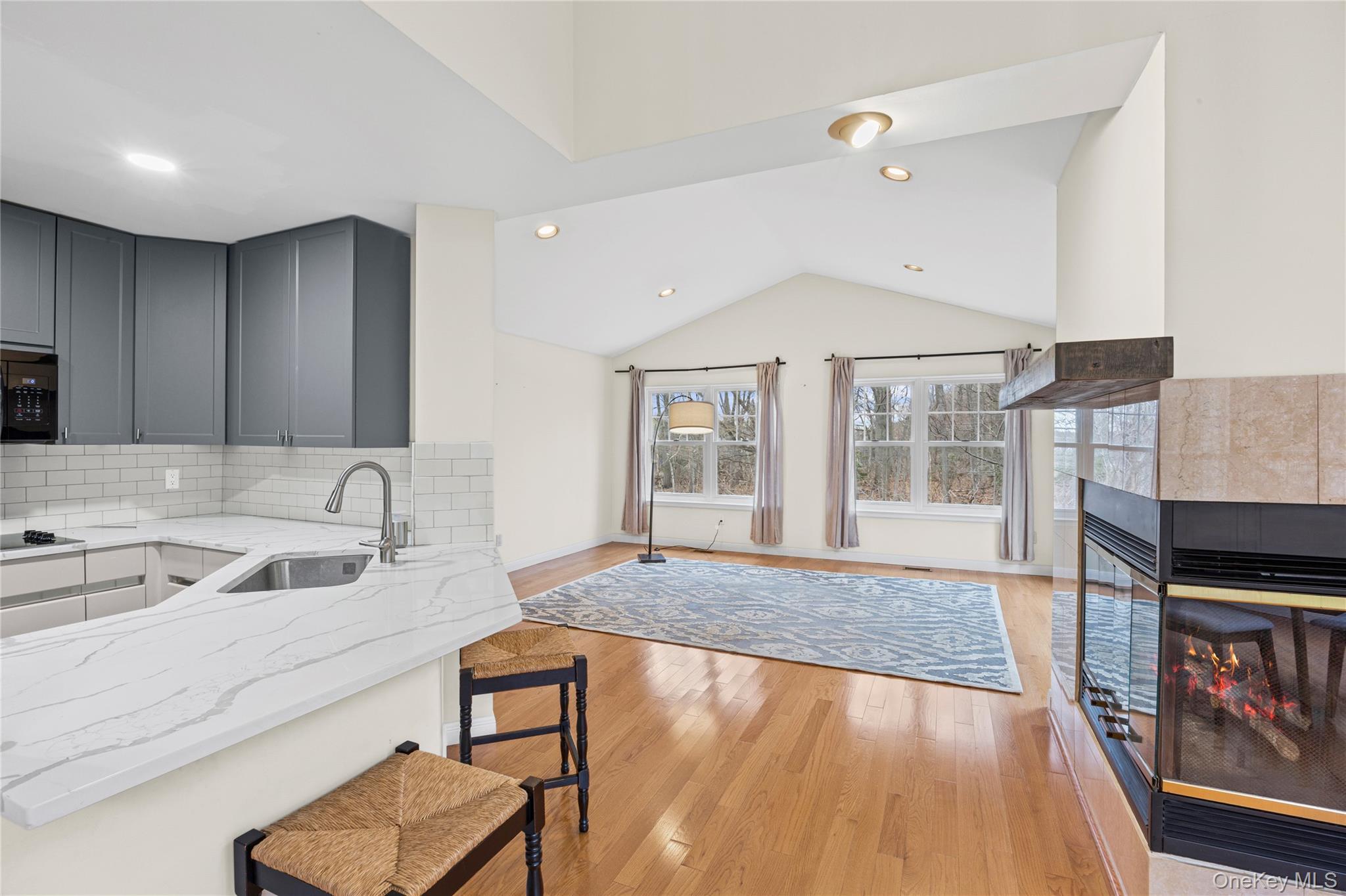 Princess Tree Ct, Port Jefferson, NY 11777 #1