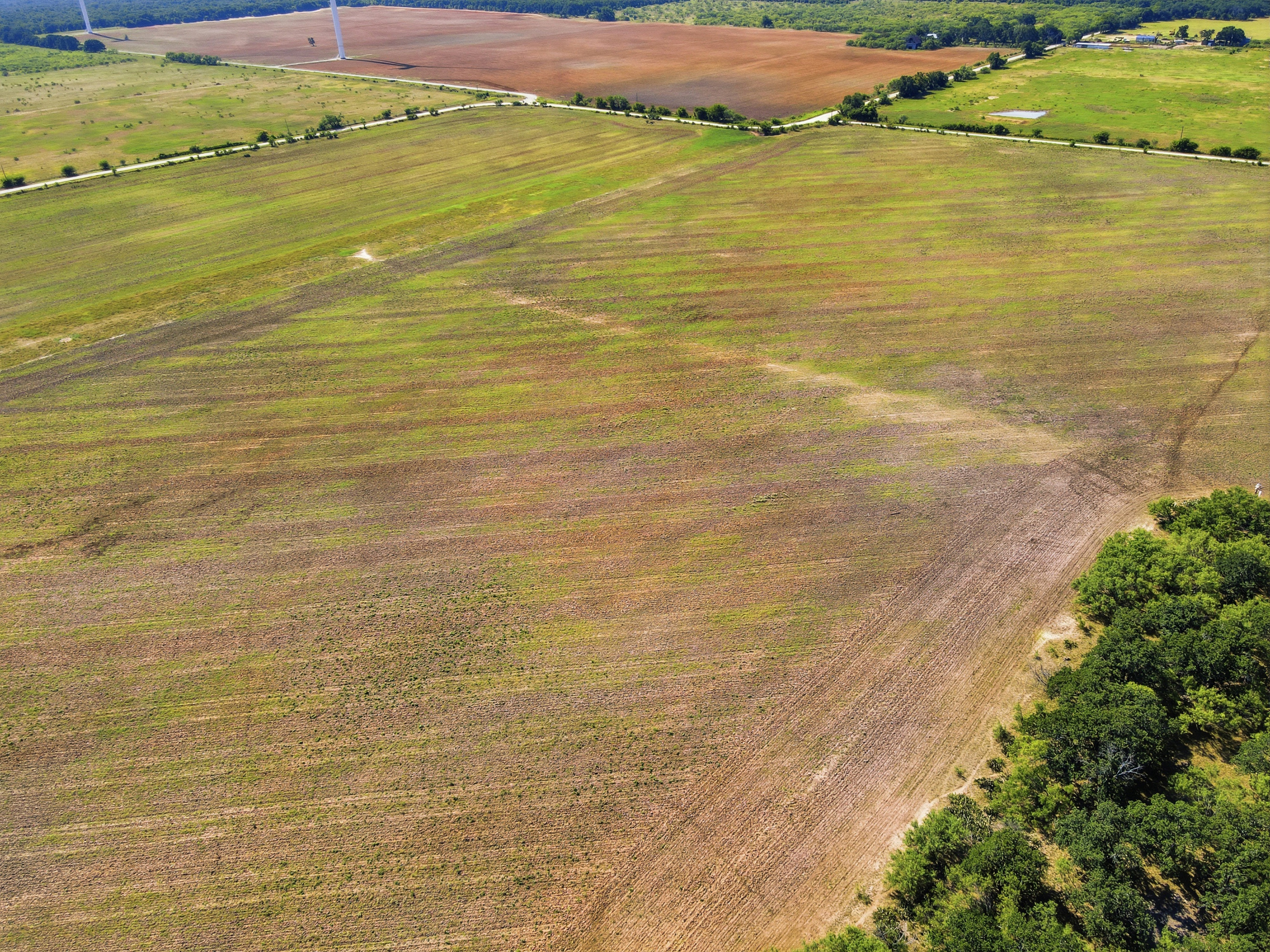  125 Acres of Texas Land for Recreation and Retreat - 物件實景