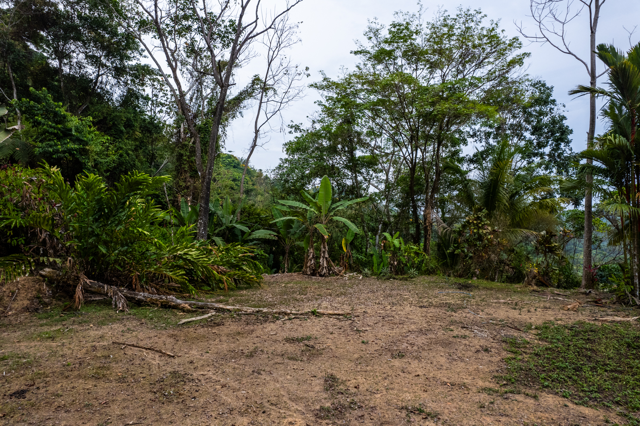 Lagunas, Dominical, Puntarenas, CR, 2 Bedrooms Bedrooms, ,1 BathroomBathrooms,Land,For Sale,Lagunas,1589118