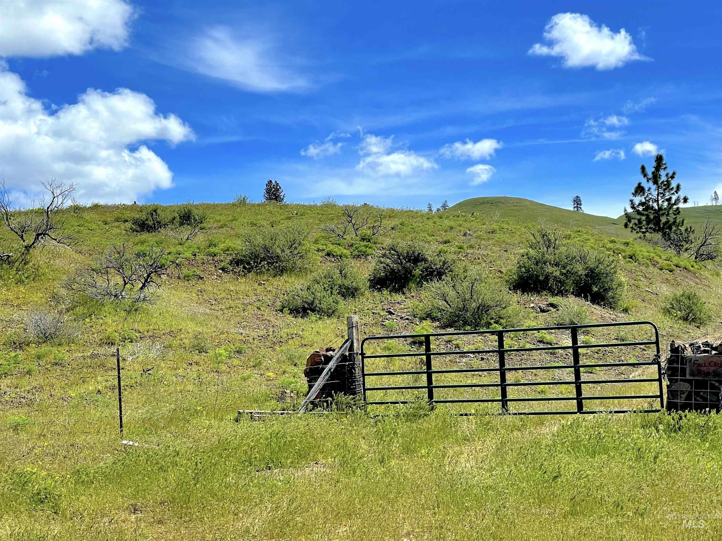 Council, Idaho, 83612, United States, ,Residential,For Sale,1921921