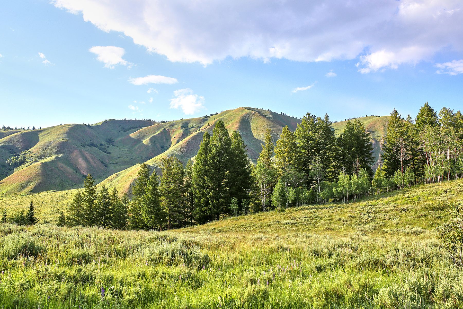  Snake River Sporting Club Lot - 物件實景