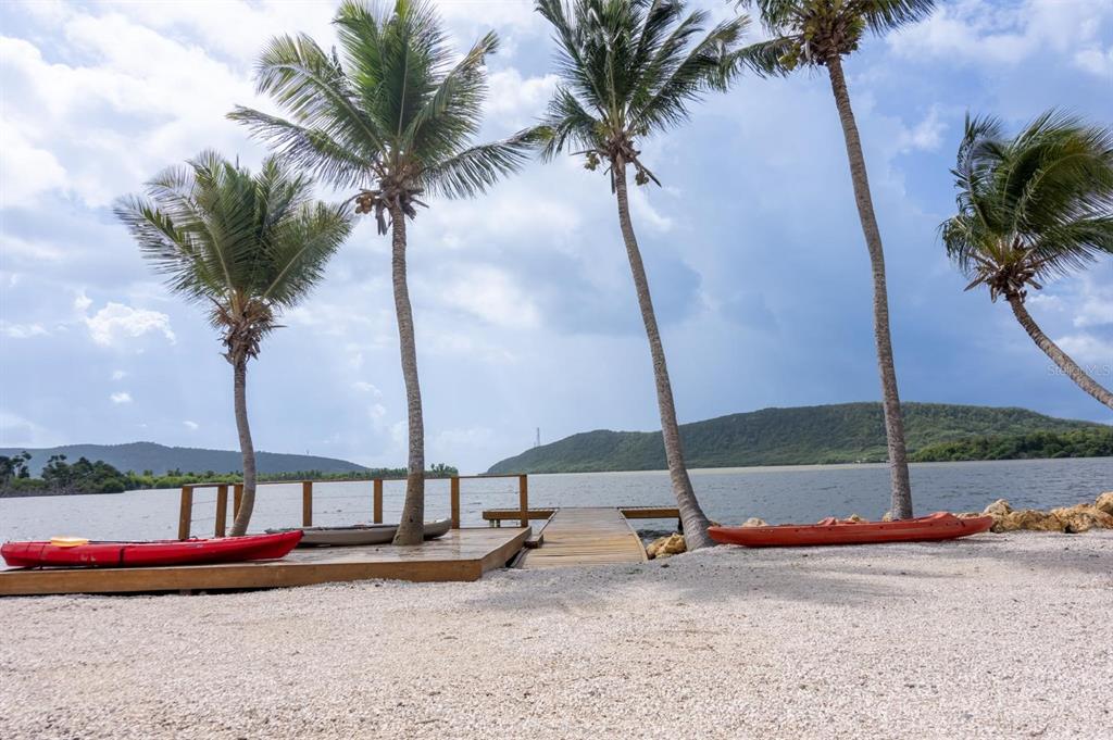 ENSENADA, Puerto Rico, 00647, PR, 8 Bedrooms Bedrooms, ,7 BathroomsBathrooms,Residential,For Sale,2000879