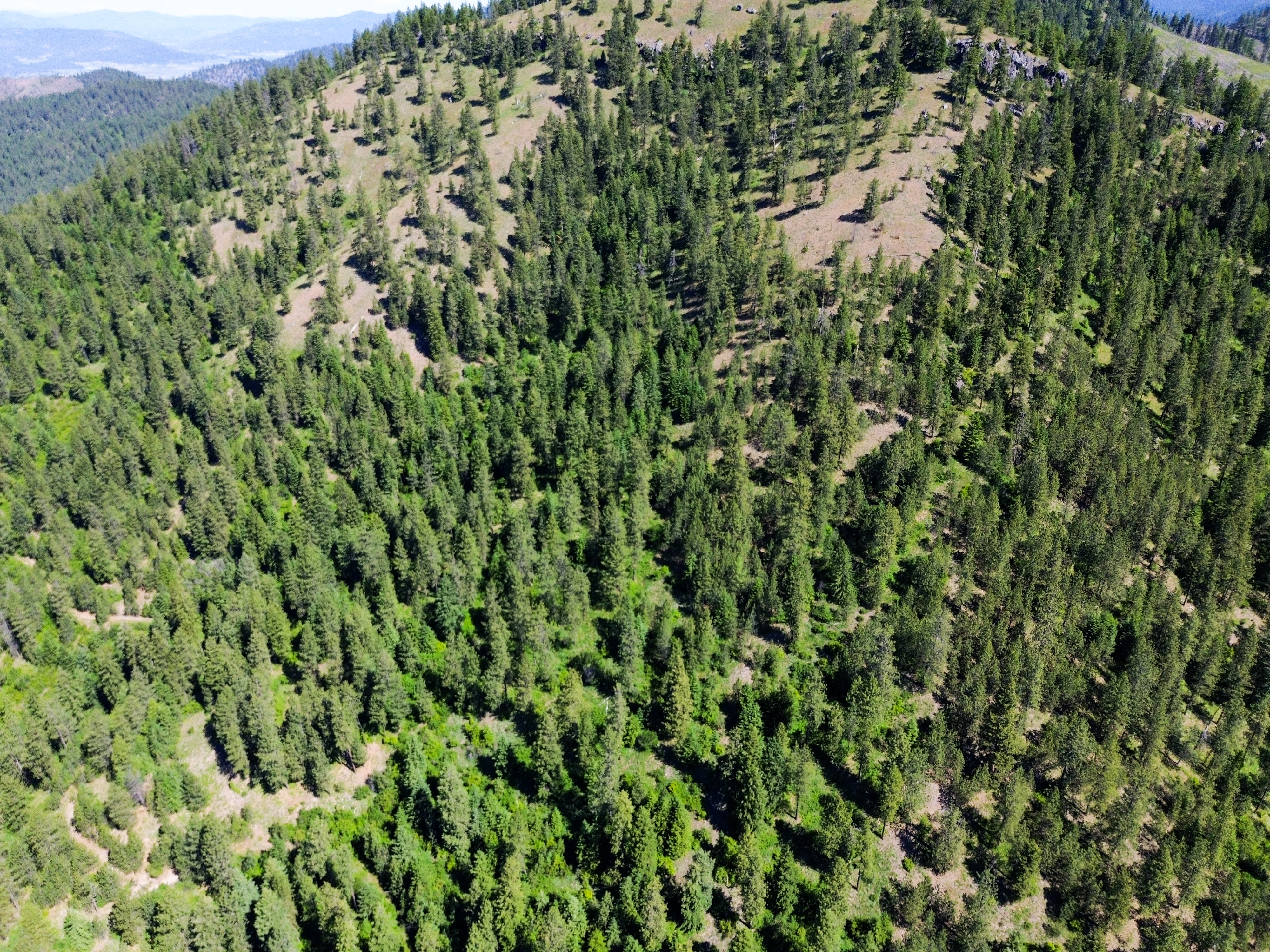 Loon Lake, Washington, 99148, United States, ,Residential,For Sale,1922836