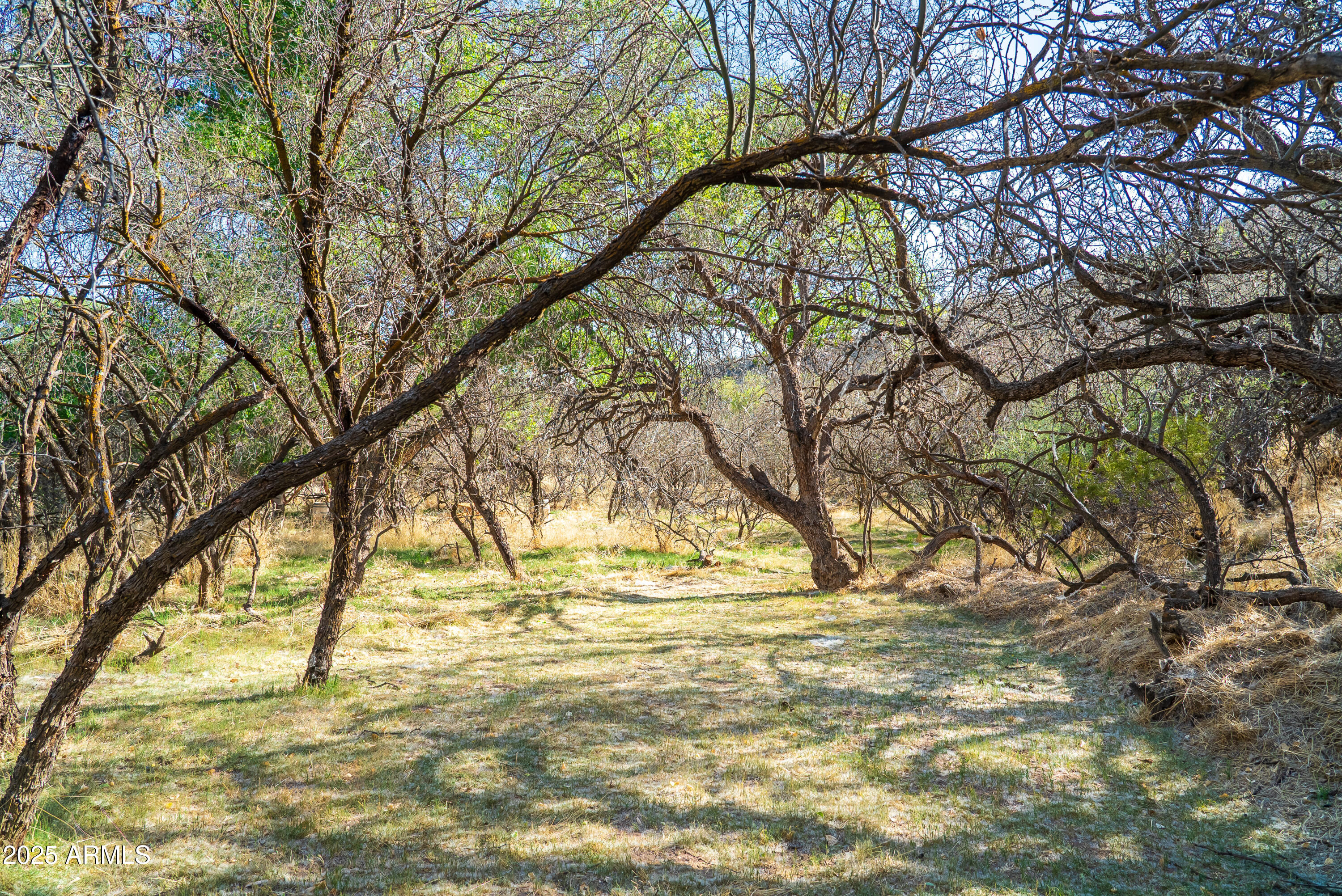 Cornville, Arizona, 86325, United States, ,Land,For Sale,1947959