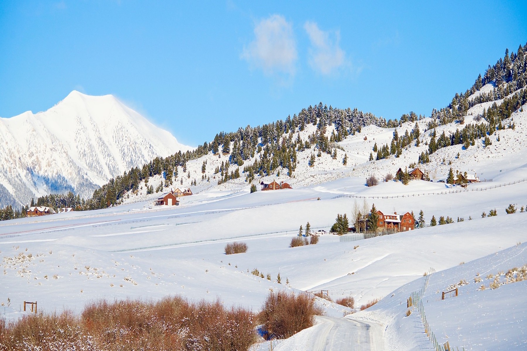  3185 Jackson Creek Rd - 物件實景