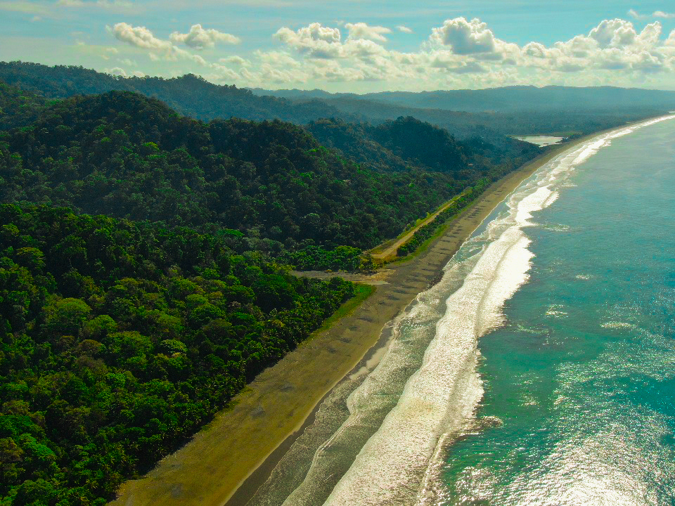 Osa Peninsula, Carate, Cabo Matapalo, Puntarenas, CR, ,Land,For Sale,Osa Peninsula, Carate,1585857