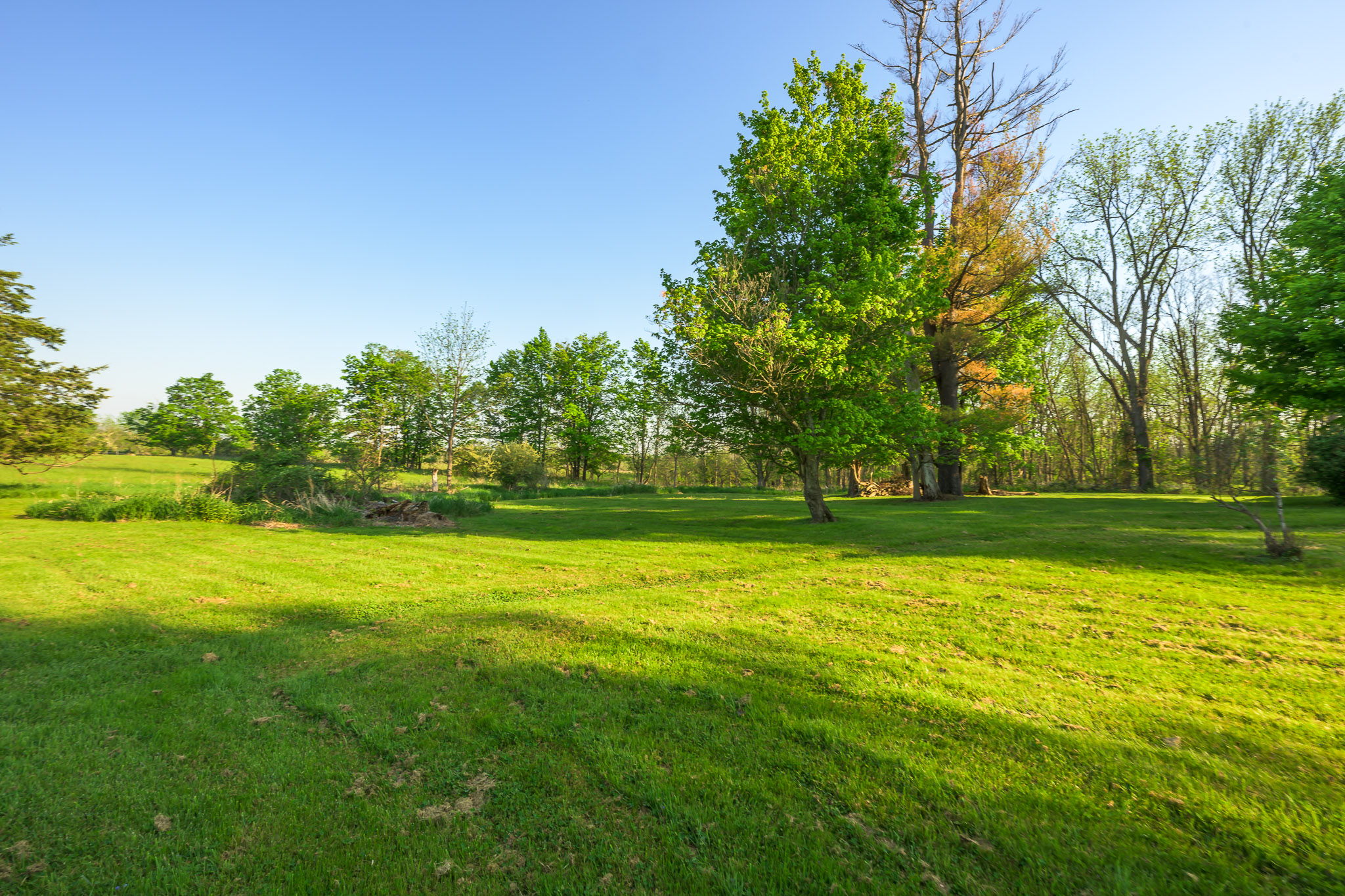  596 County Route 25, Stockport, NY 12173 - 物件實景